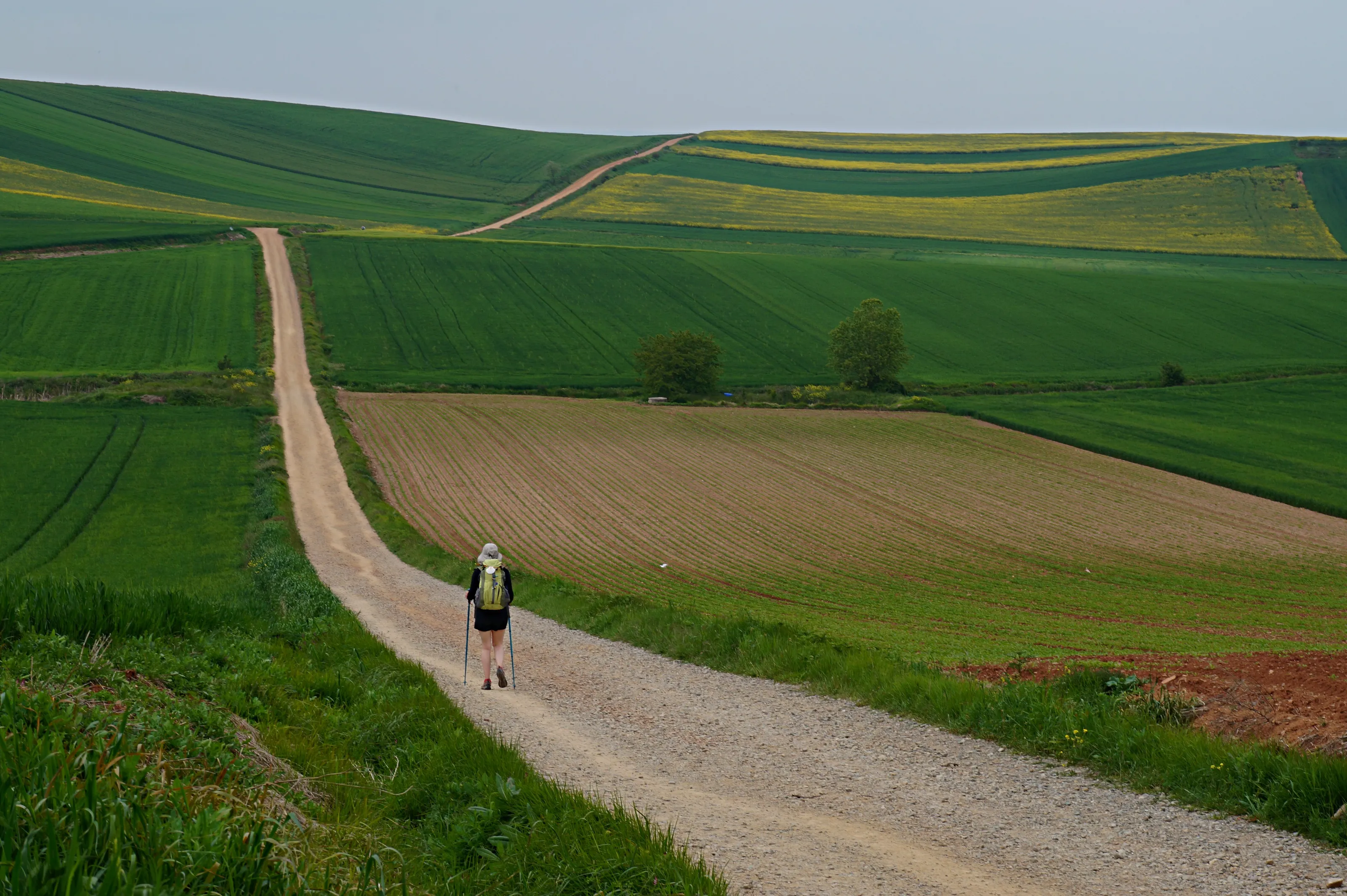 Camino de Santiago