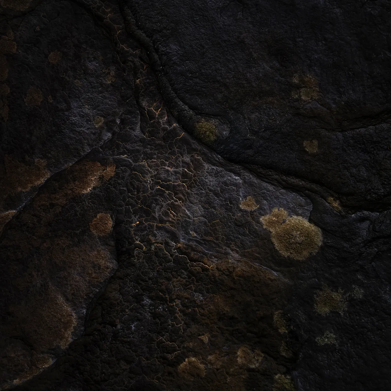 Emergence