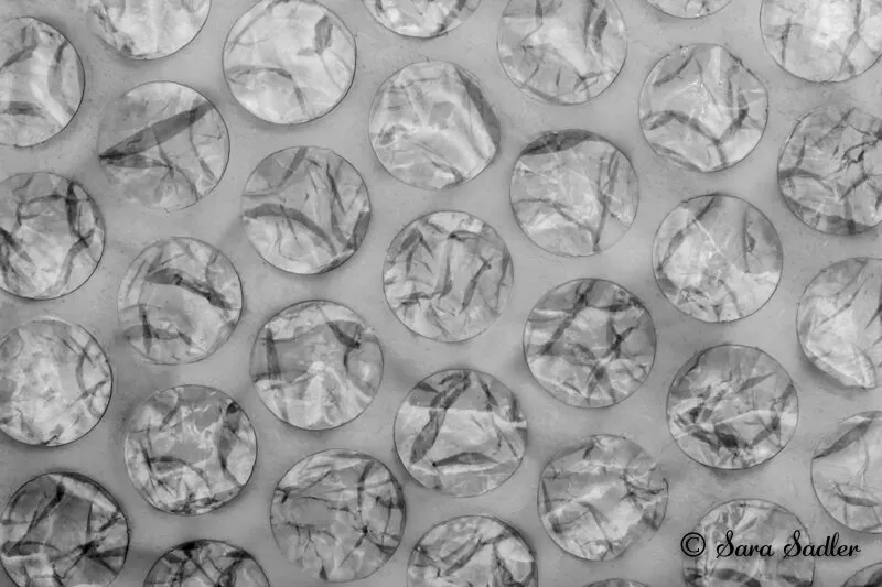 Bubblewrap!