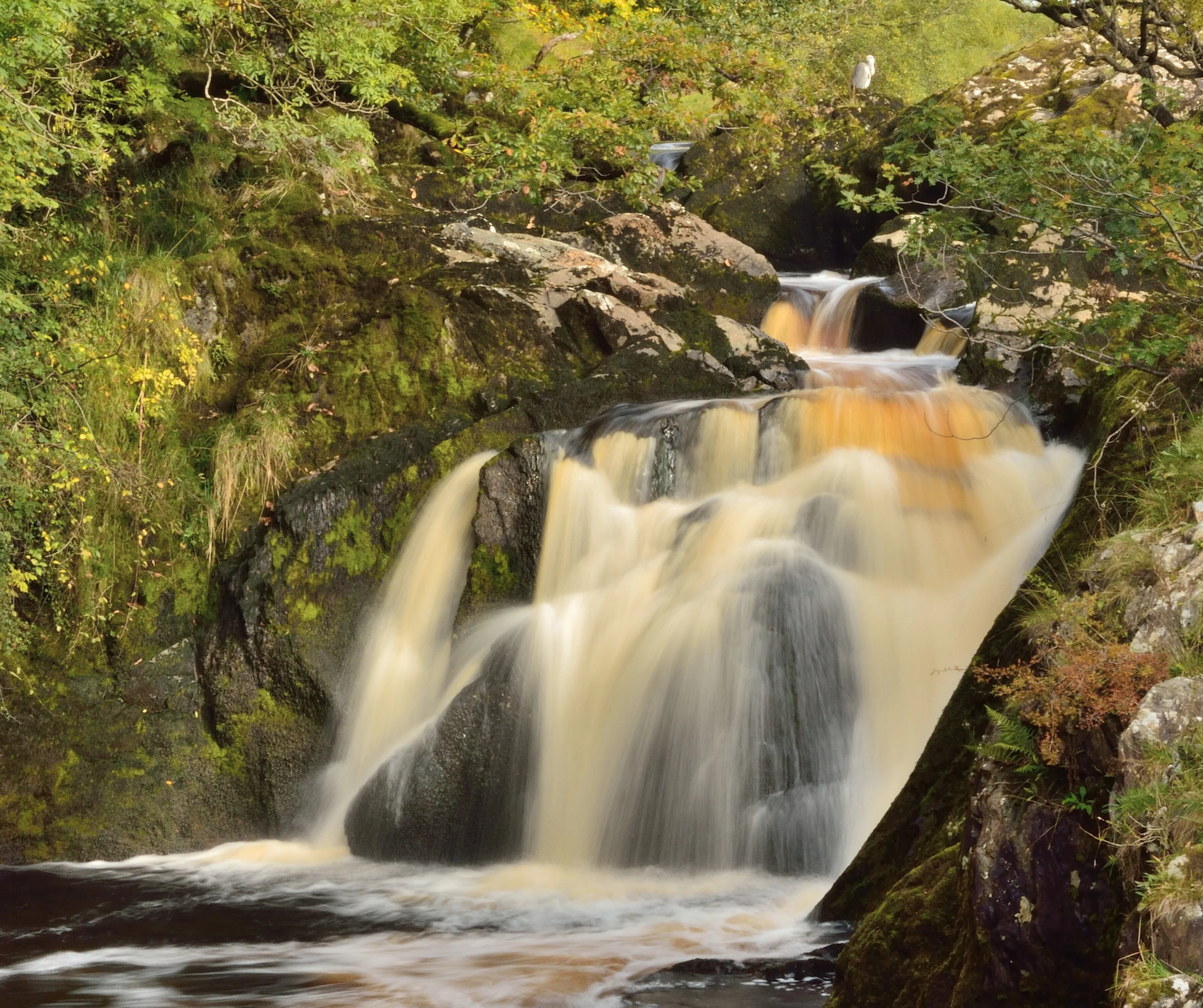 waterfall