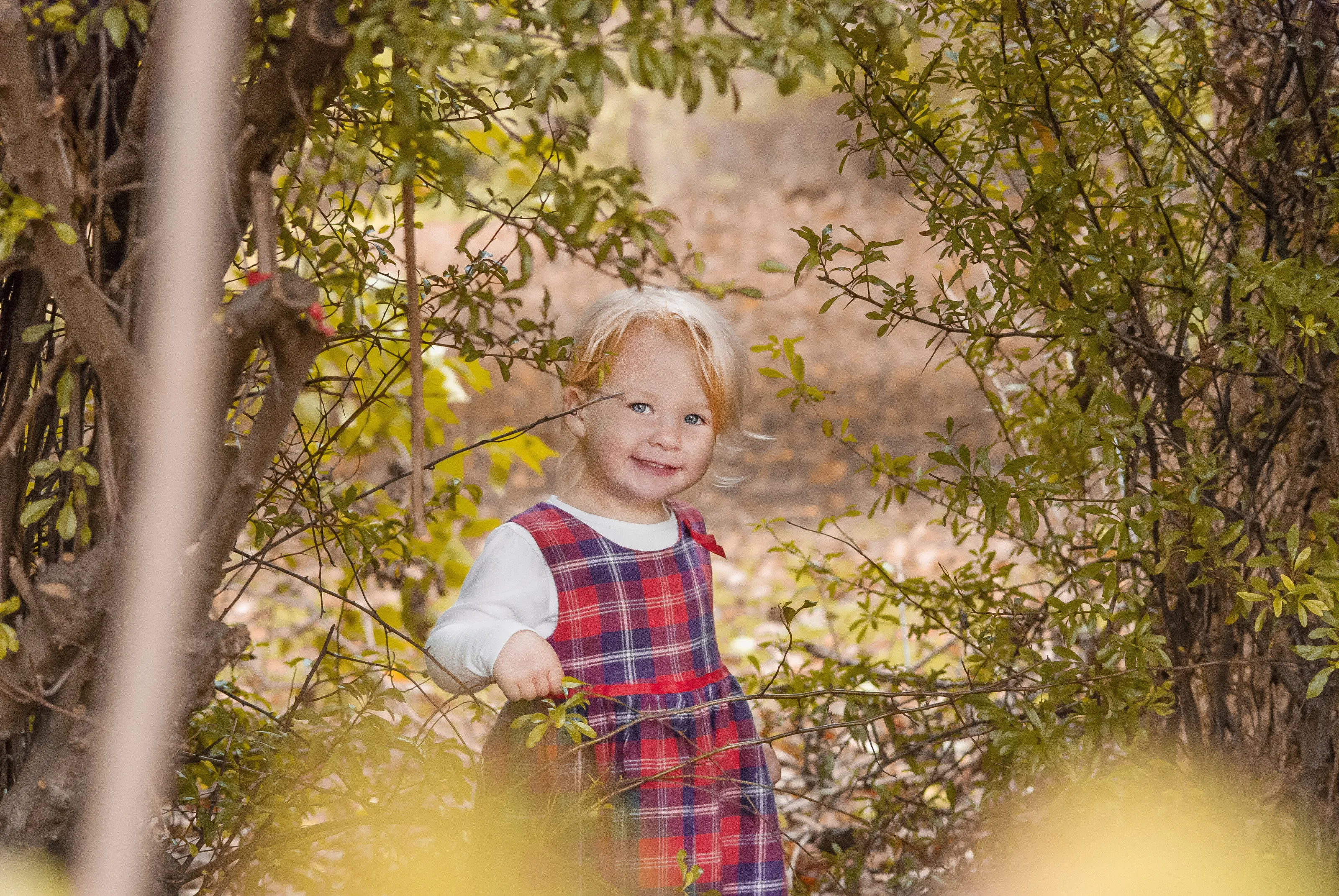 Where's Evie gone?