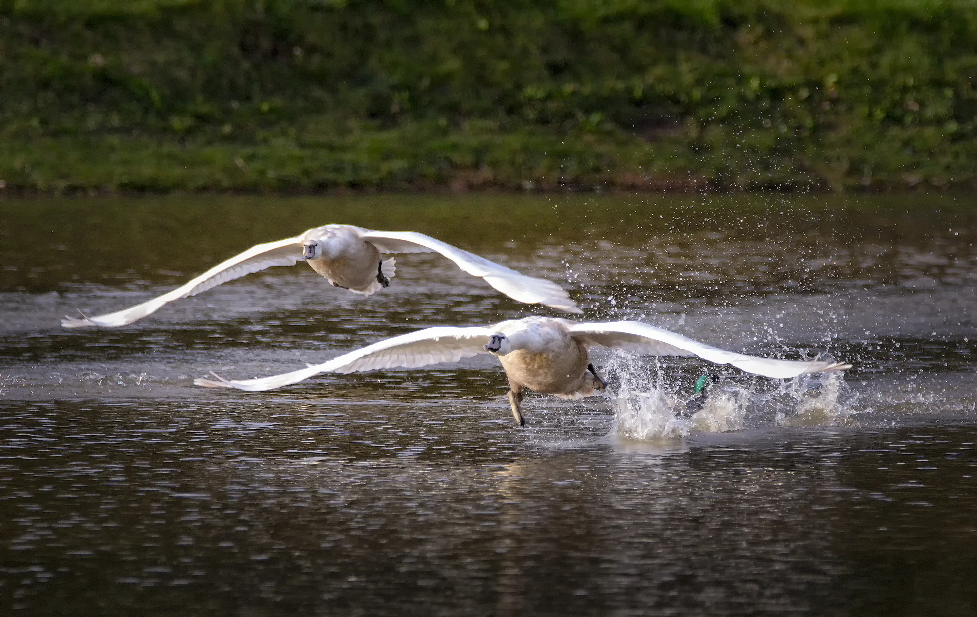 Take off!