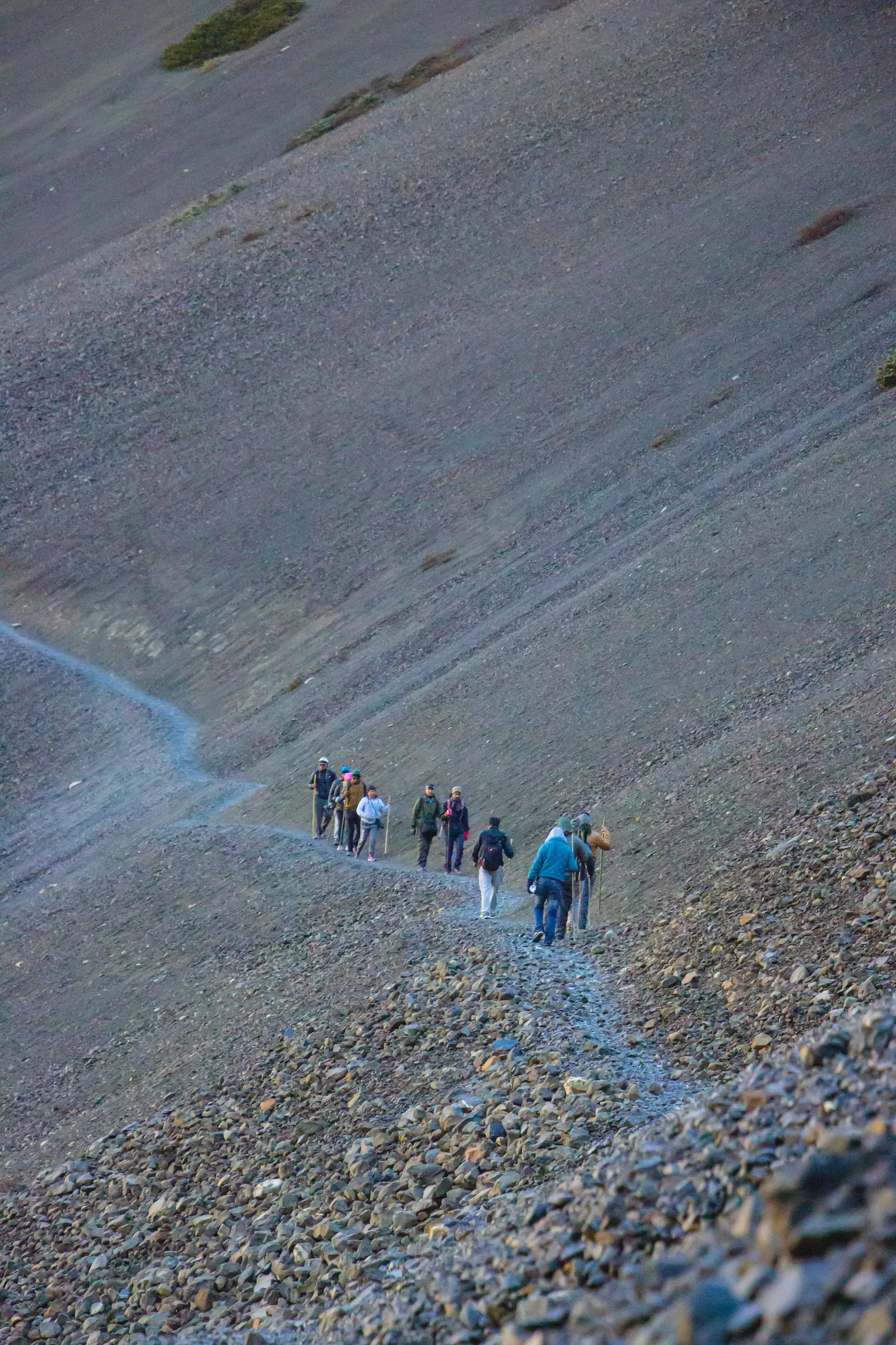 WANDERERS