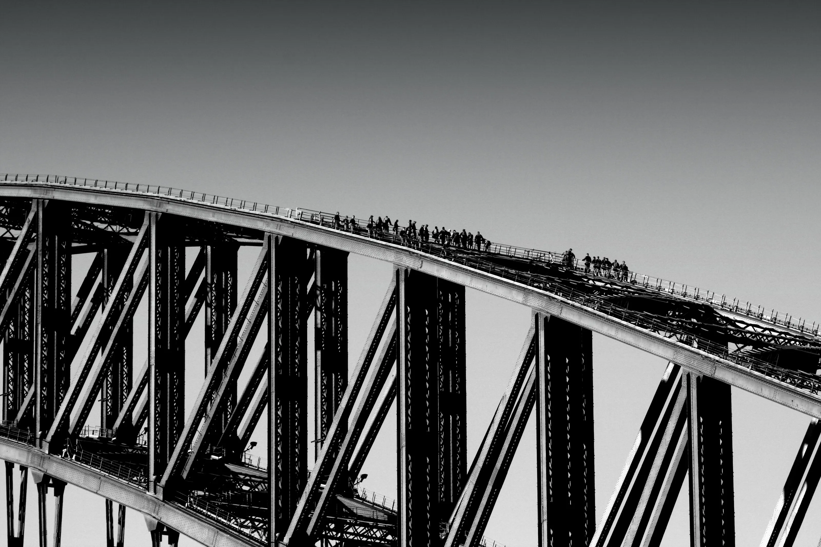 harbour bridge climb