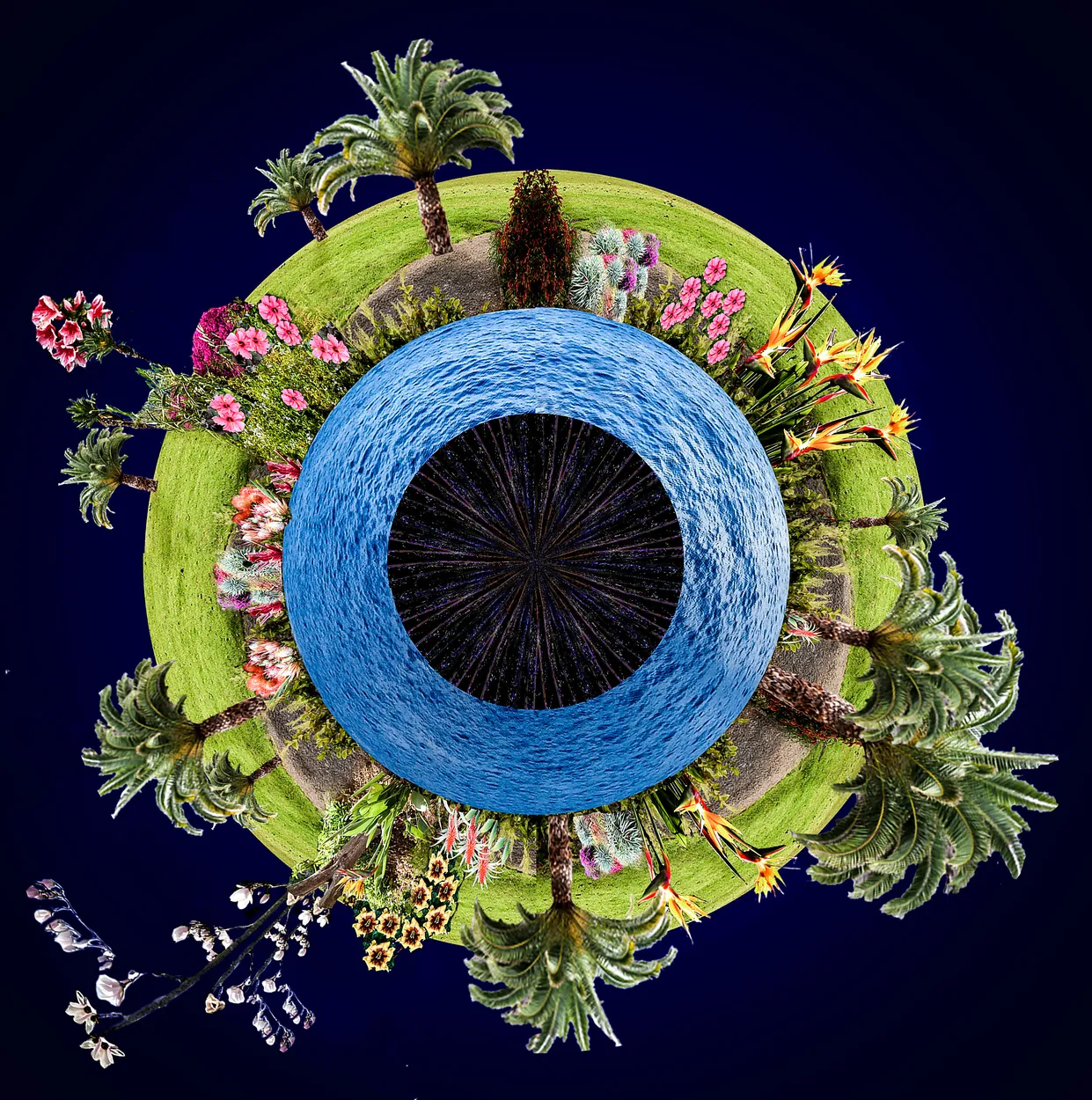 Entry 3126448