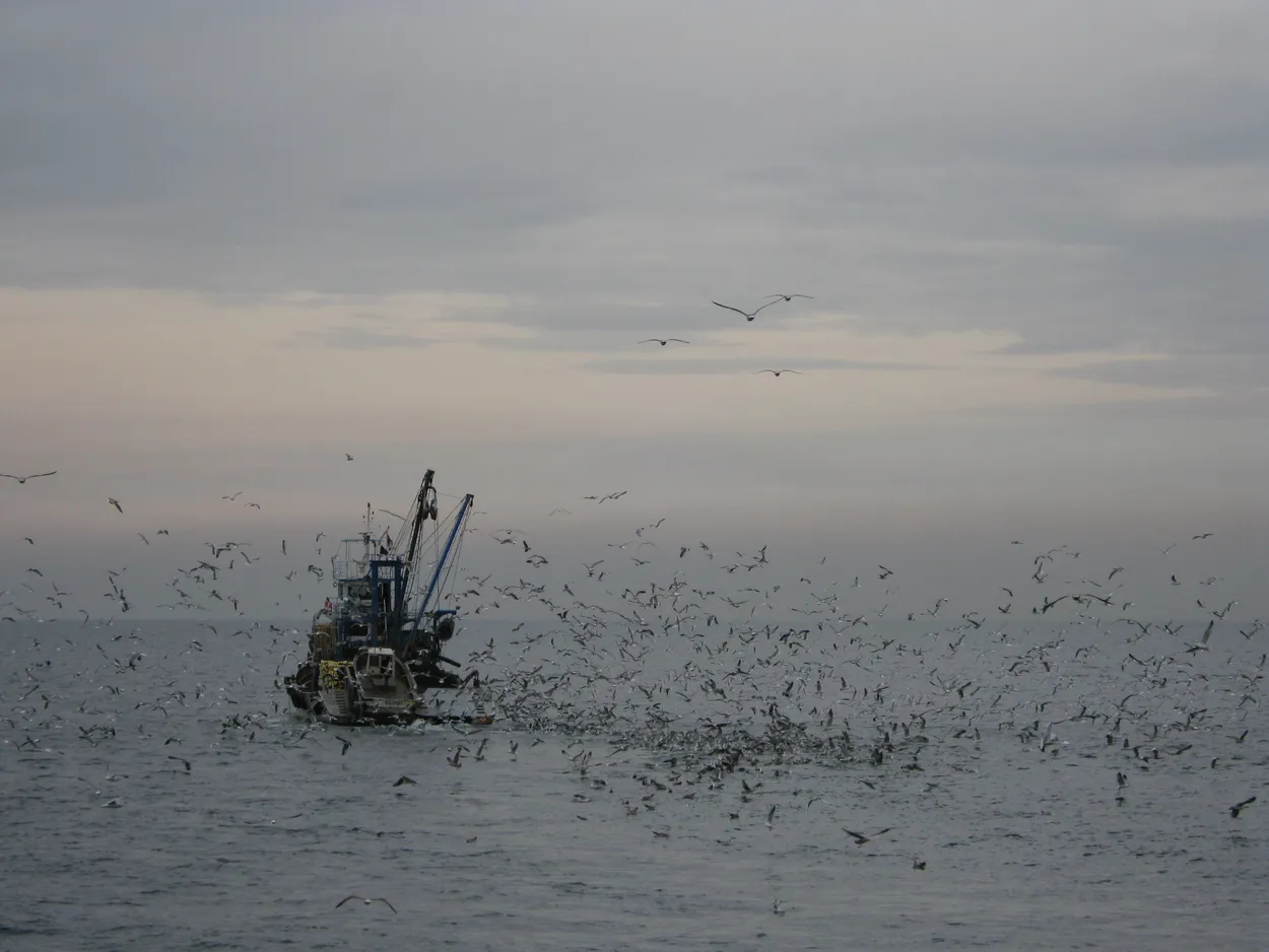 On the Sea of Marmara