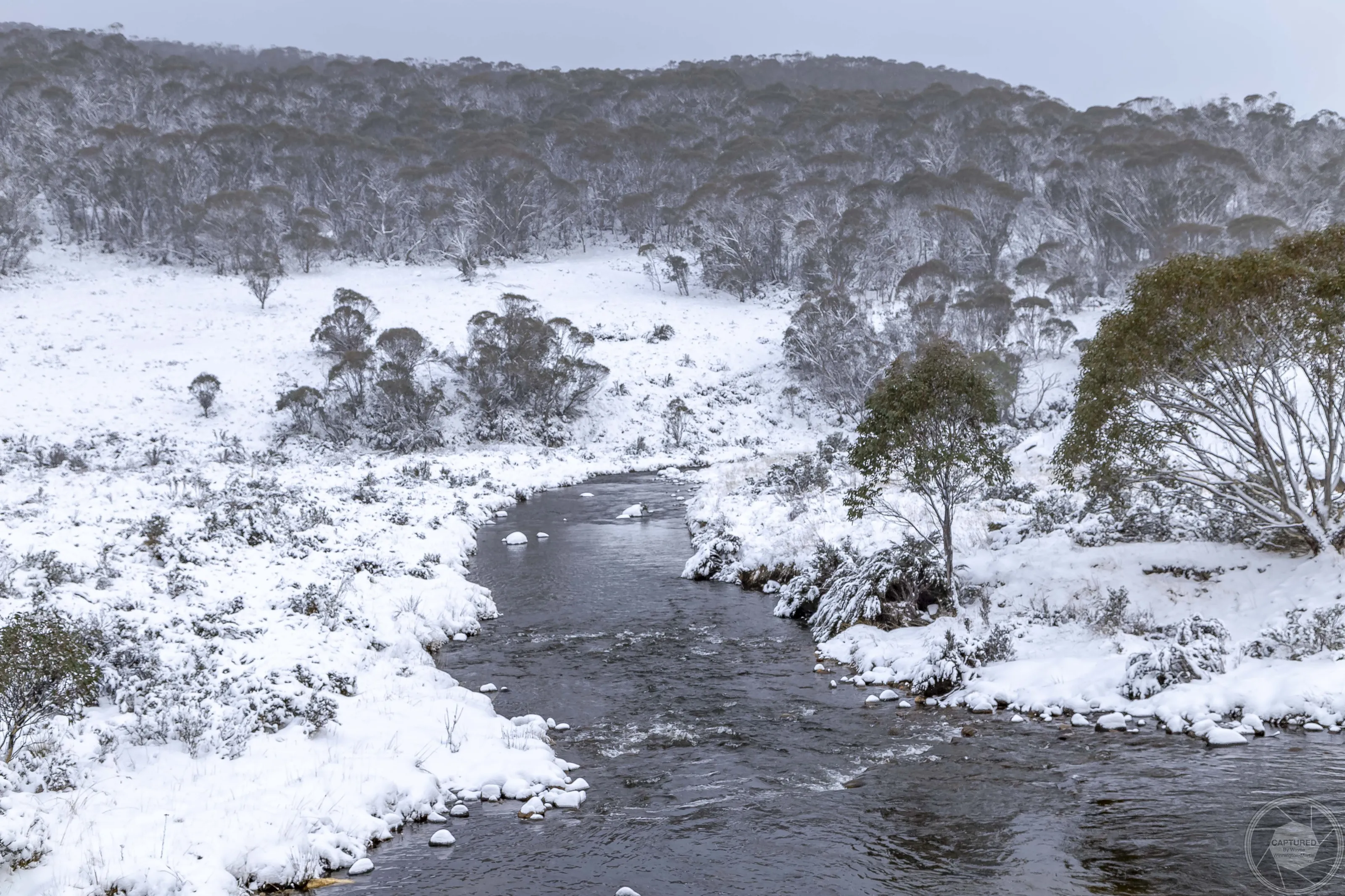 cold Thredbo.