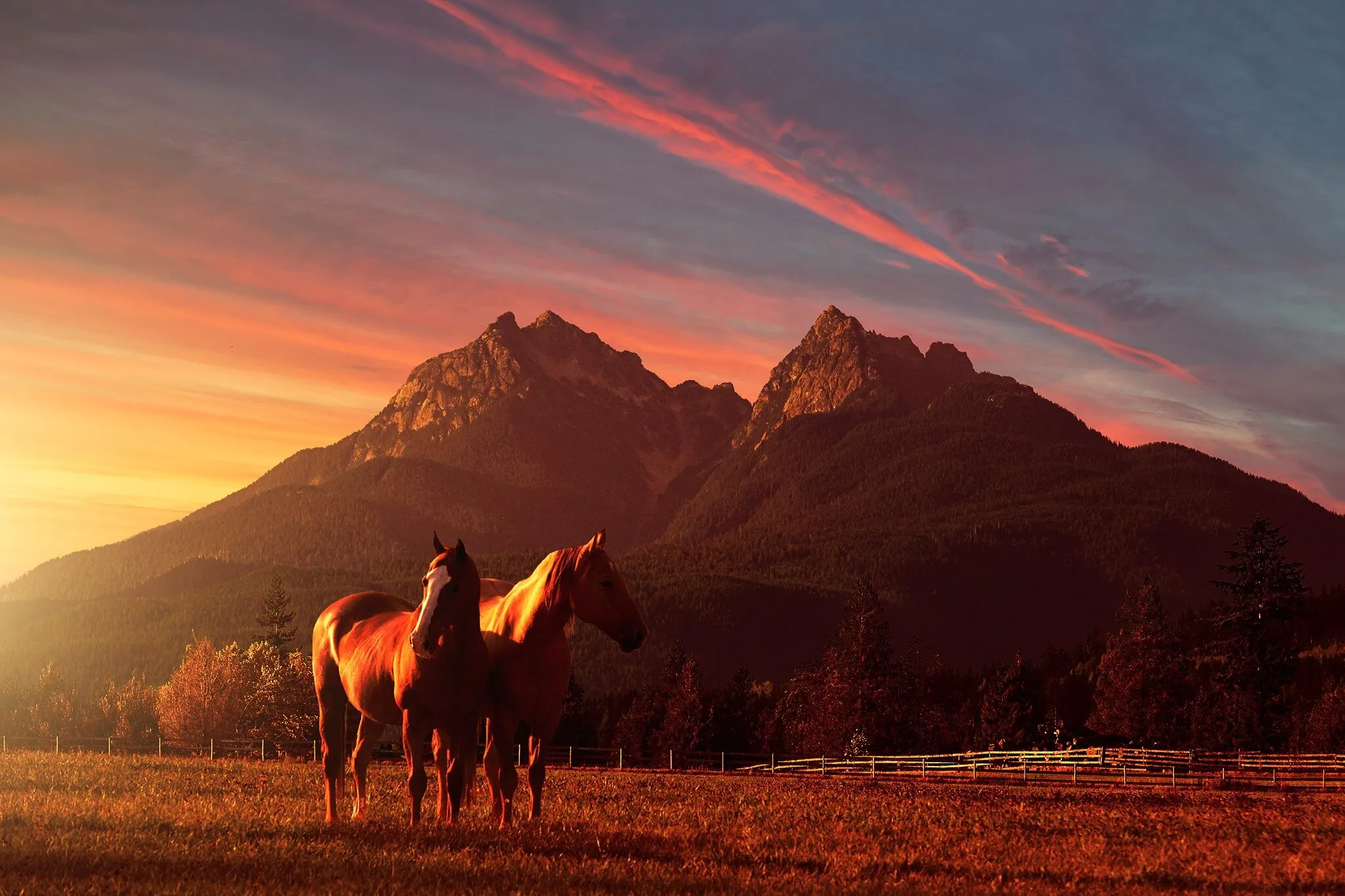 Golden Ears