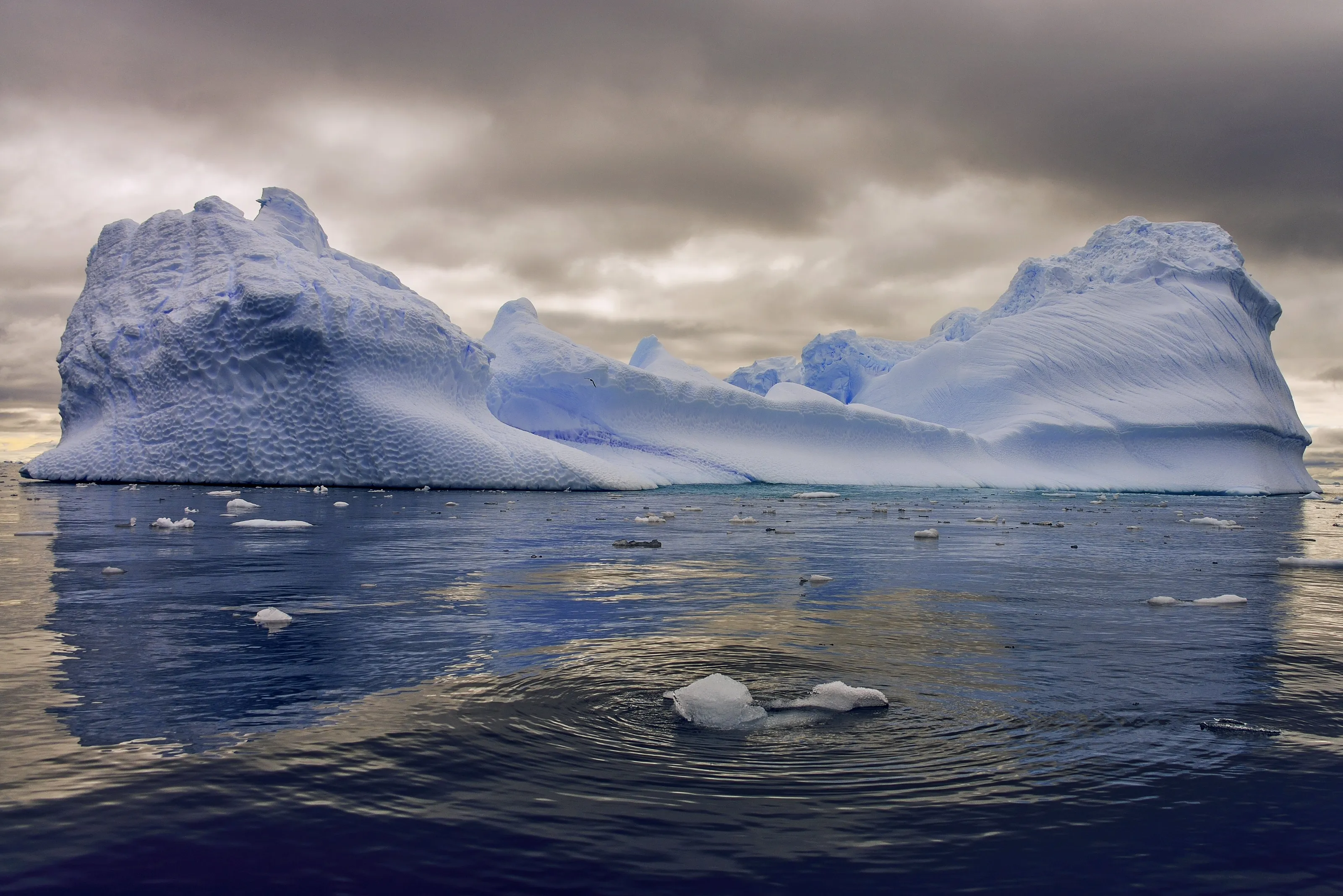 Antarctic Adventure