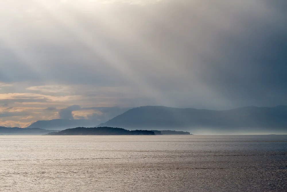 Island Mist