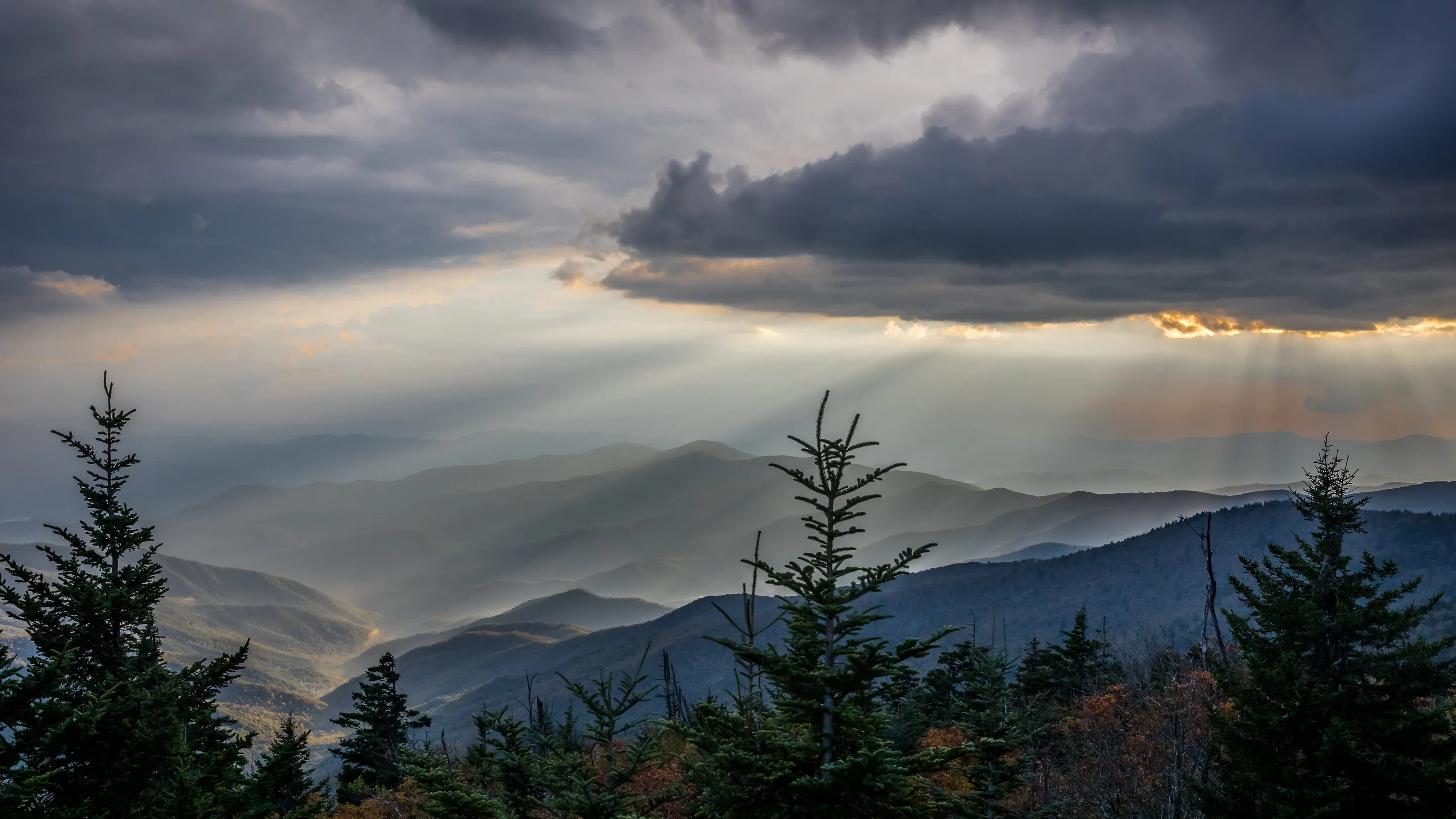 Rays of Serenity