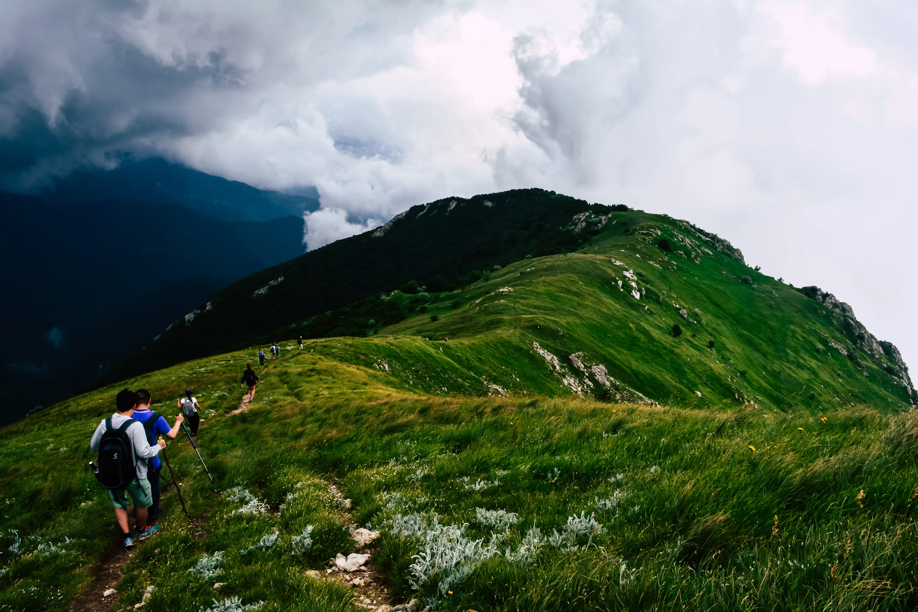 A walk through undisturbed nature