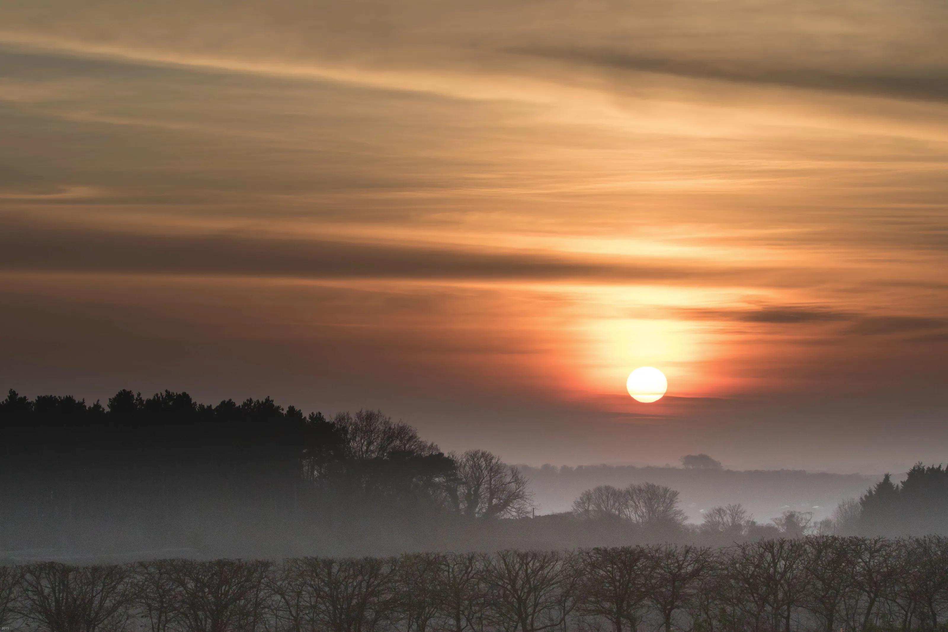 Late Winter Evening