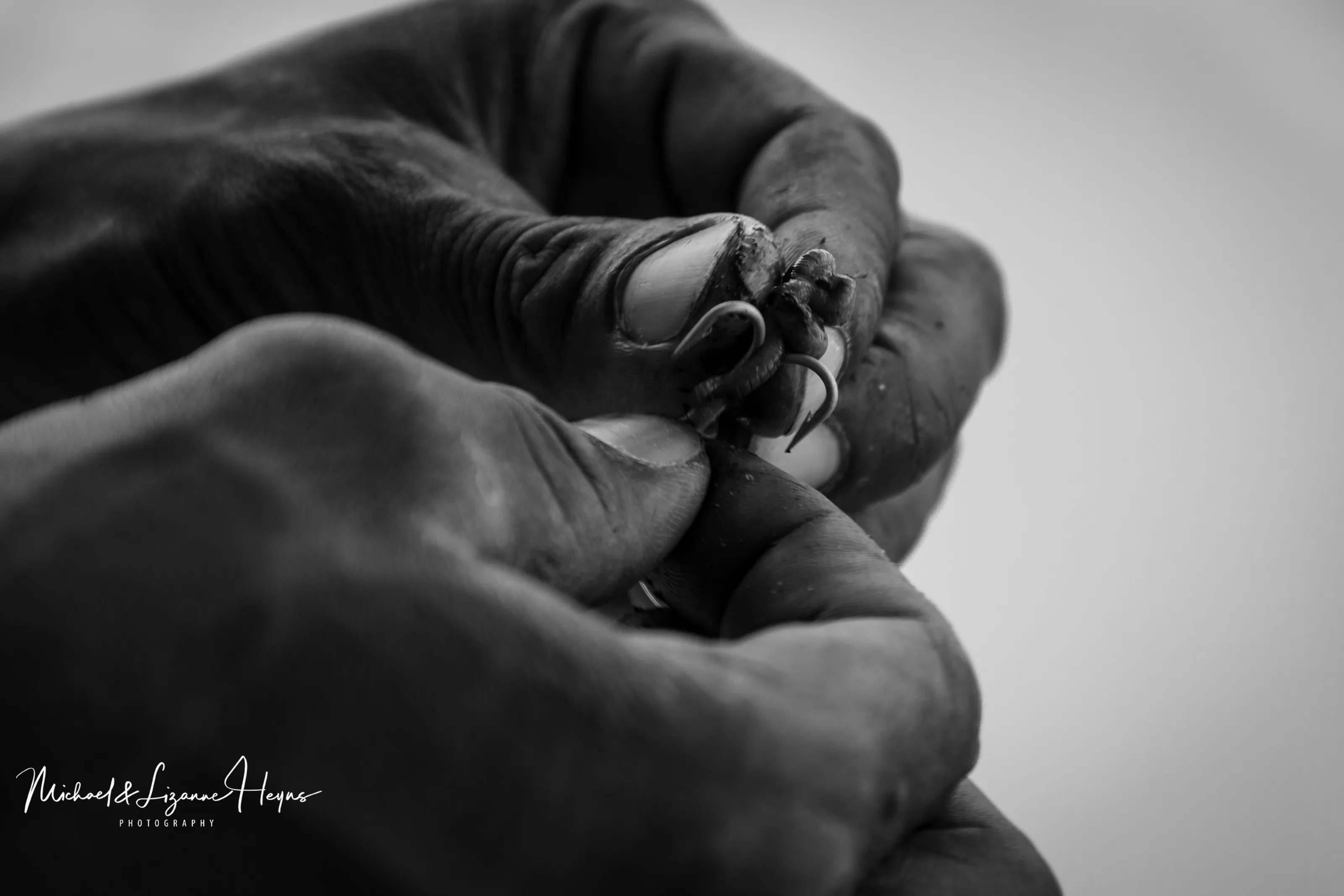 Fisherman's Hands