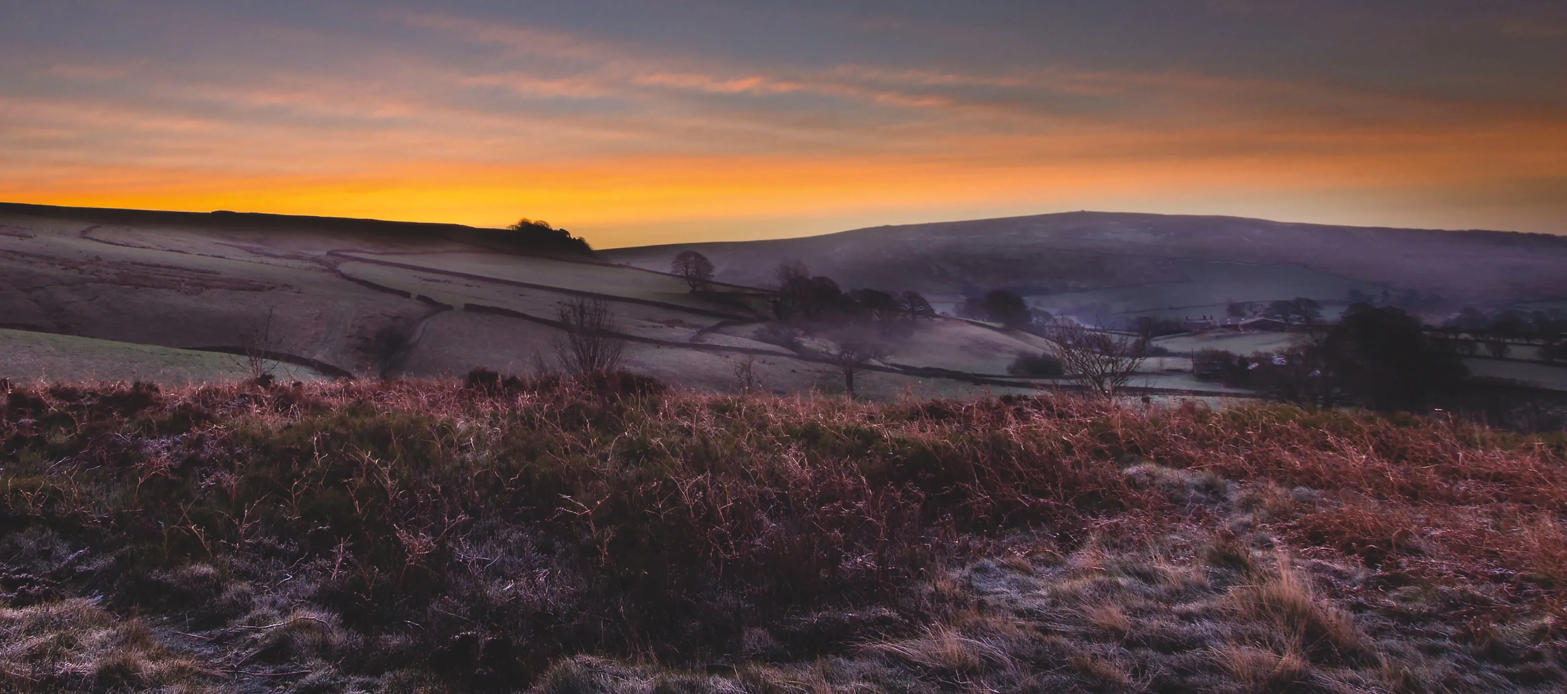 New dawn, New day