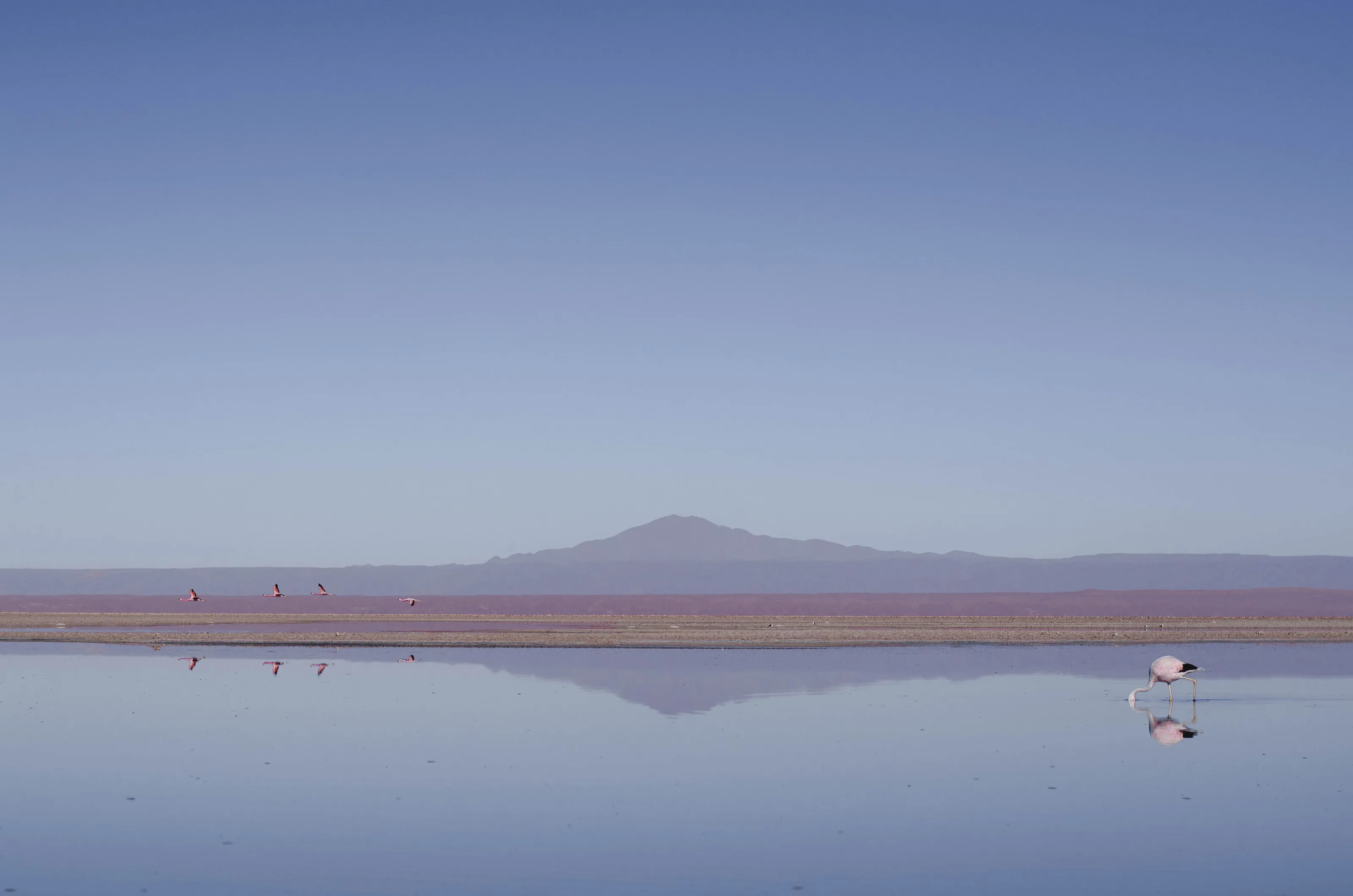 Salar de Atacama