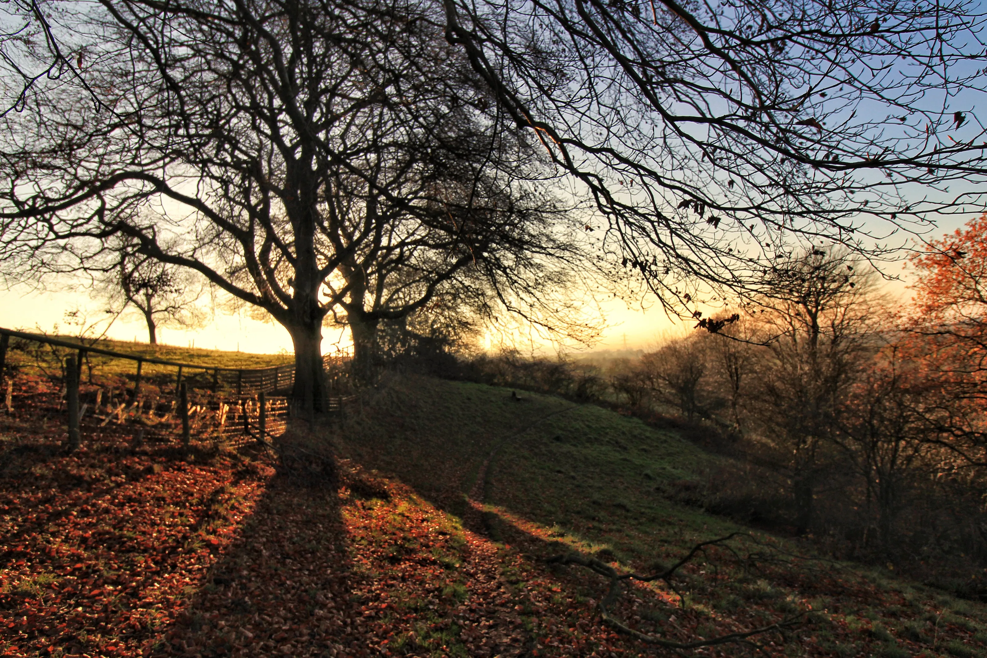 'Middle Earth' Waseley Hills Sunset, United Kingdom 2018