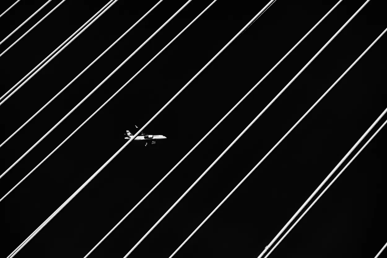 Entry 6503123