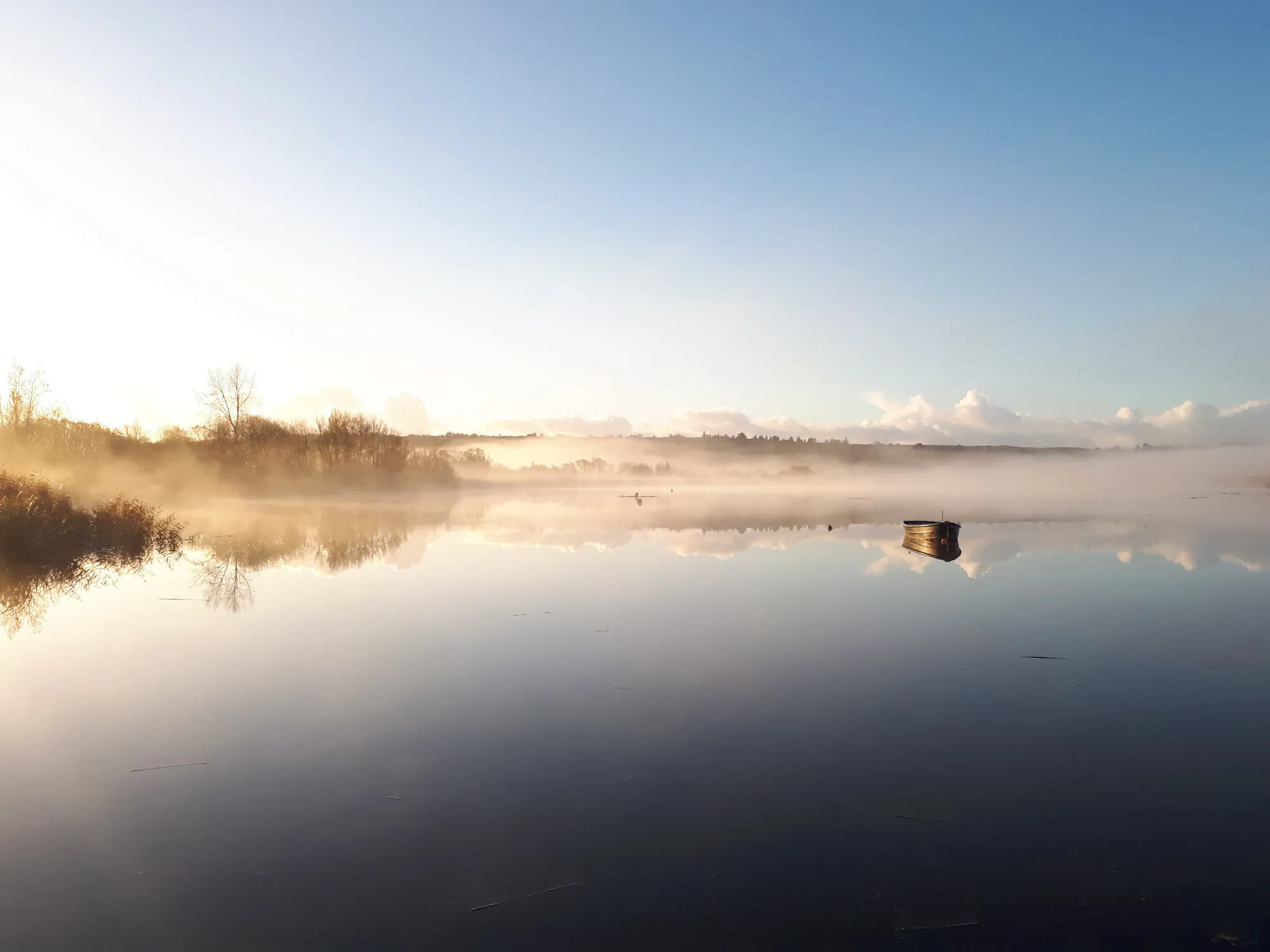 Fog on the quay