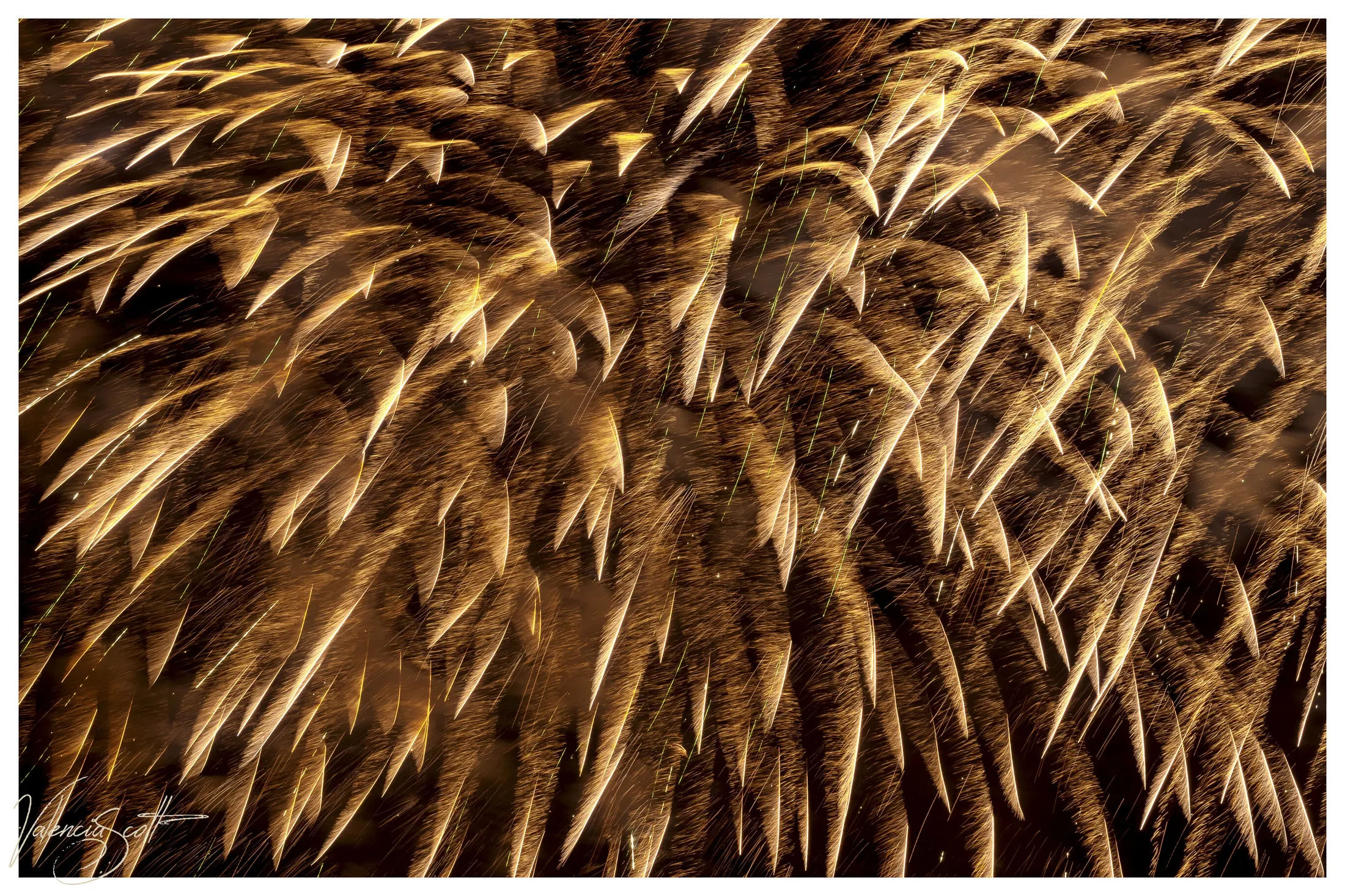 Fireworks over the creek