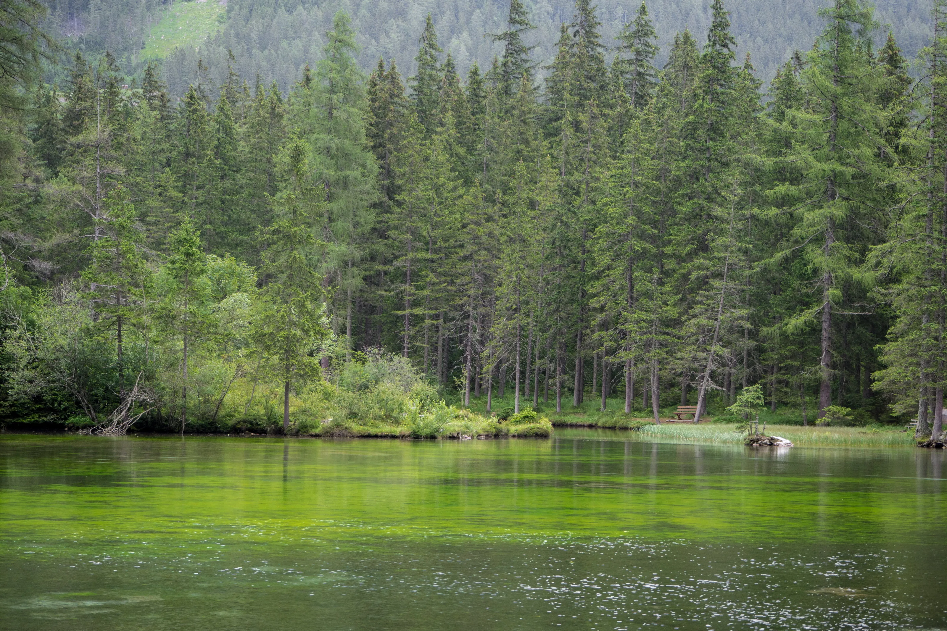 Gruner See
