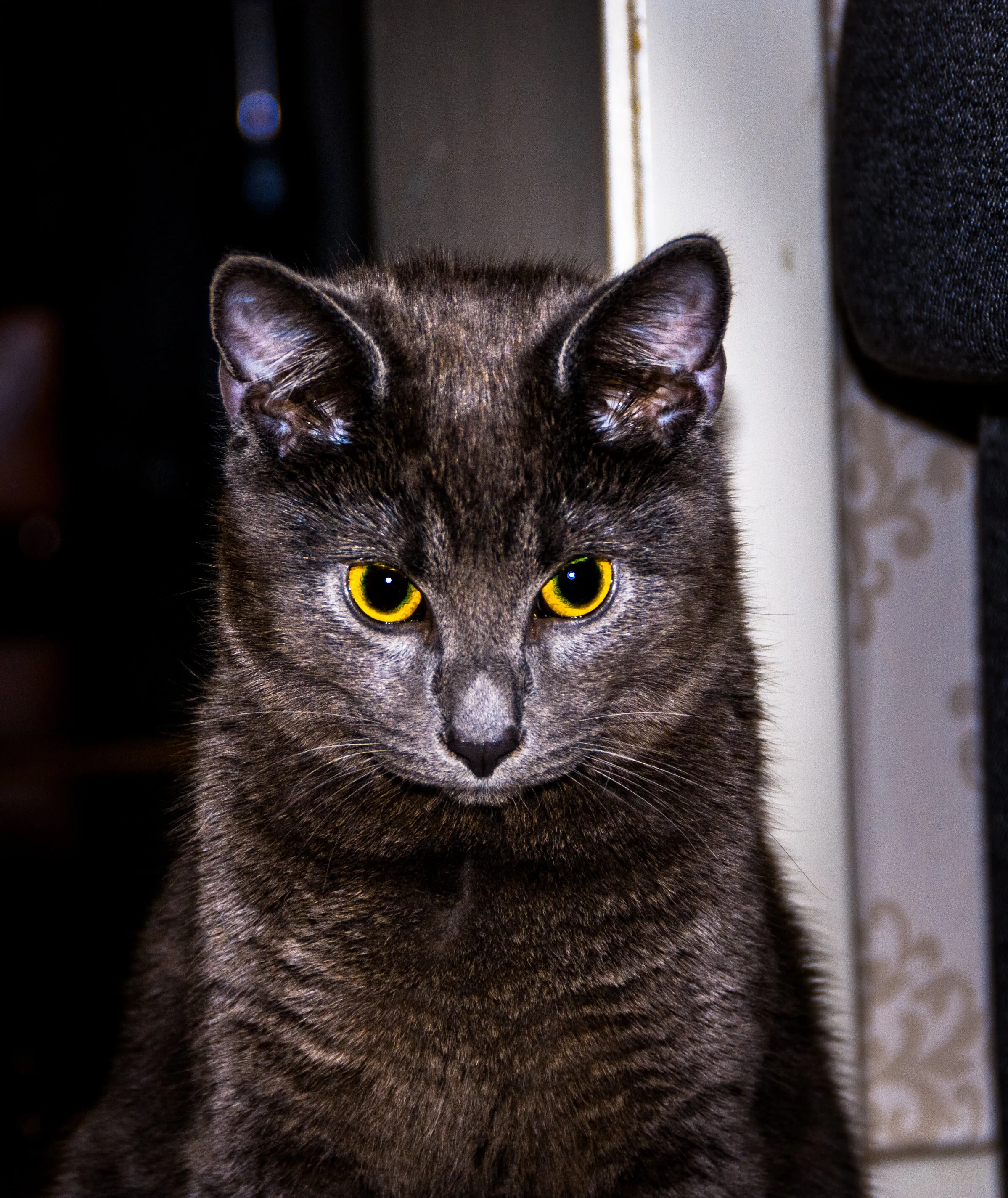 Look at me