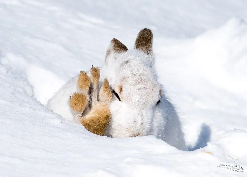 Give me 4