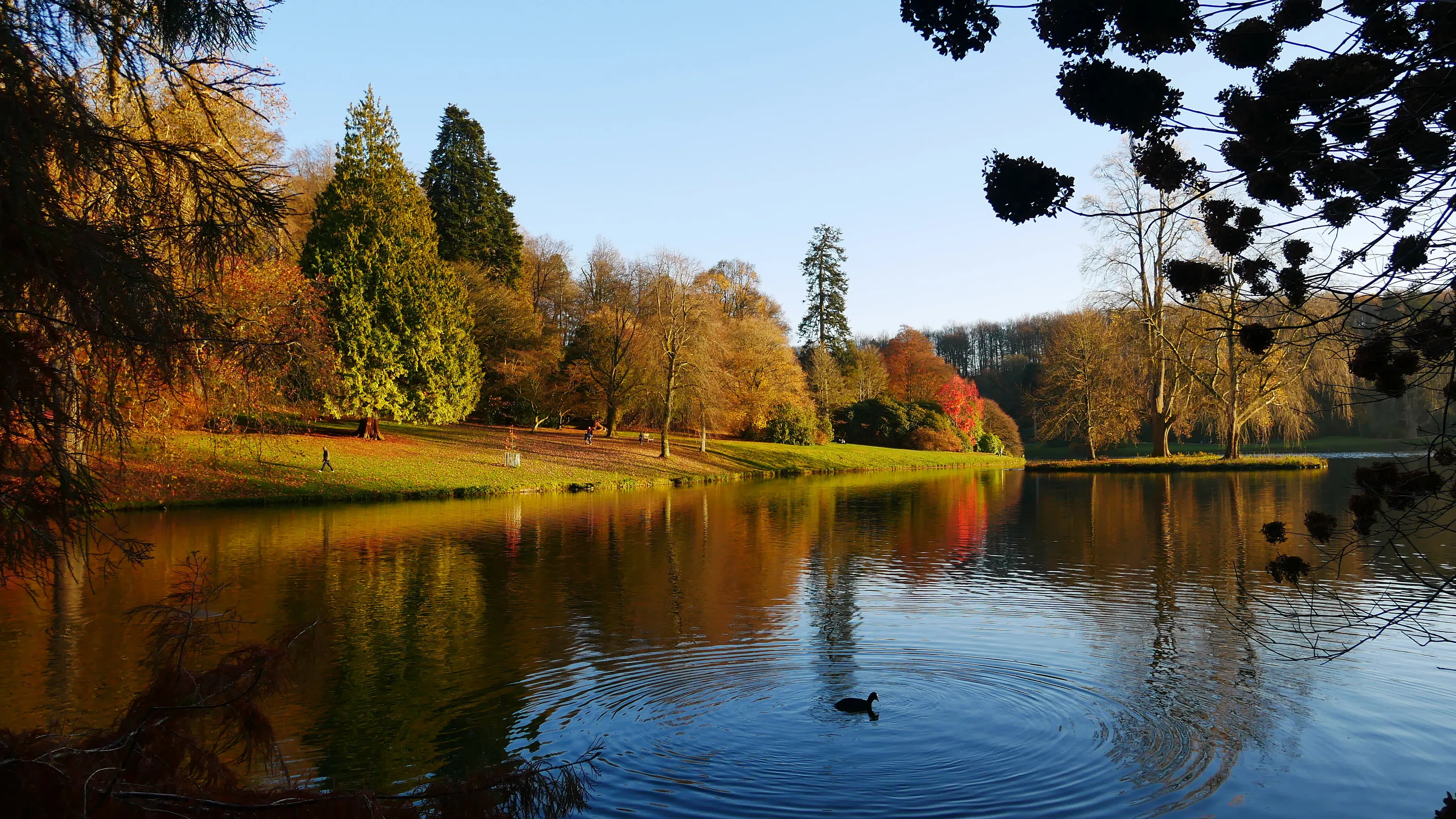 Automn Colours