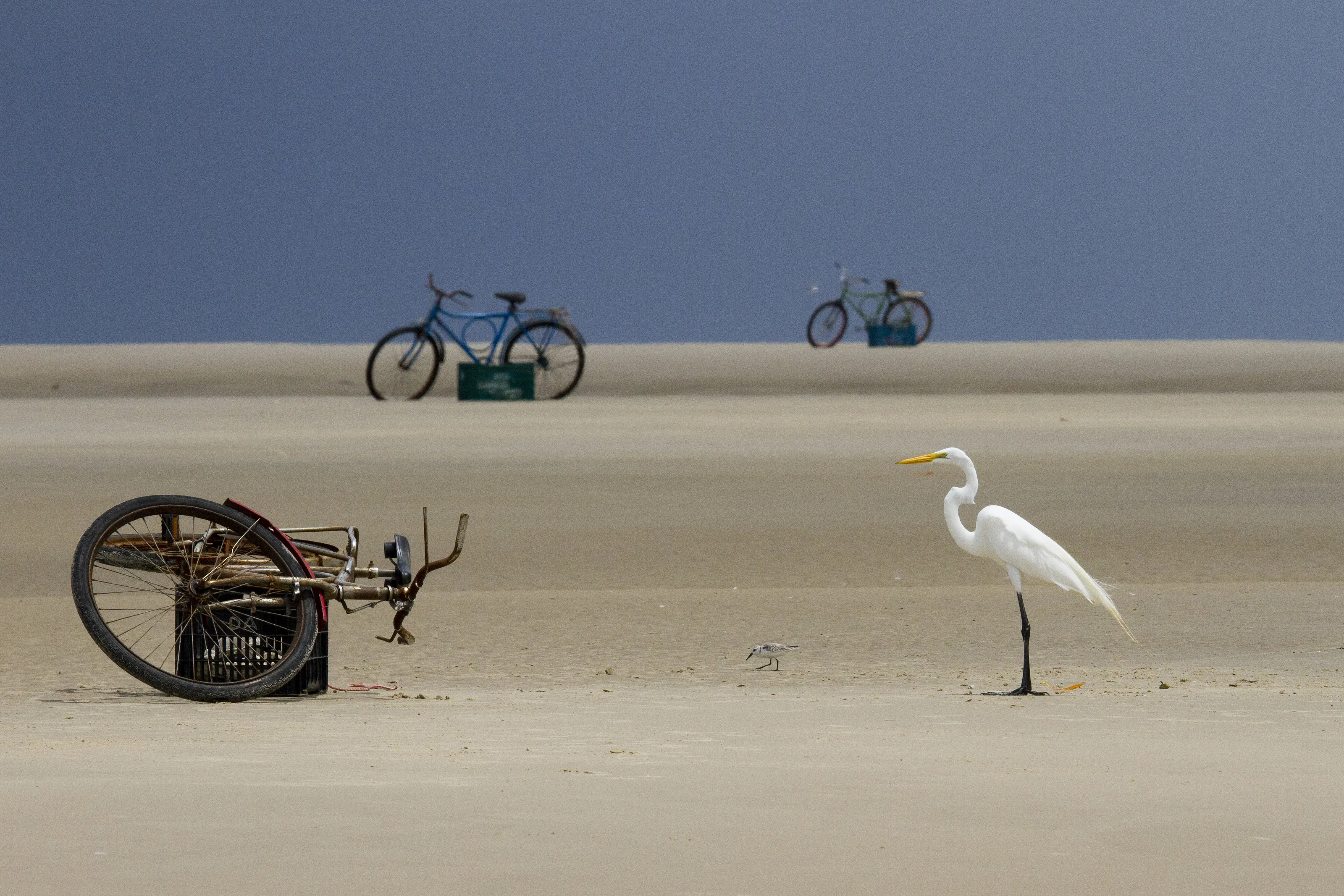 Waiting for the return of the fisherman