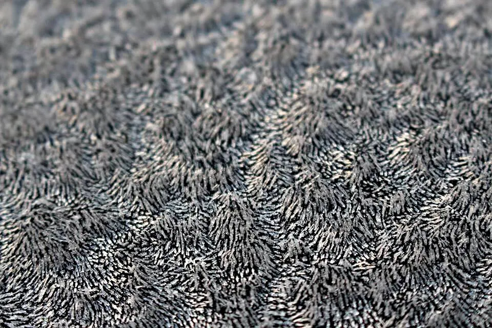 Frost on my car.