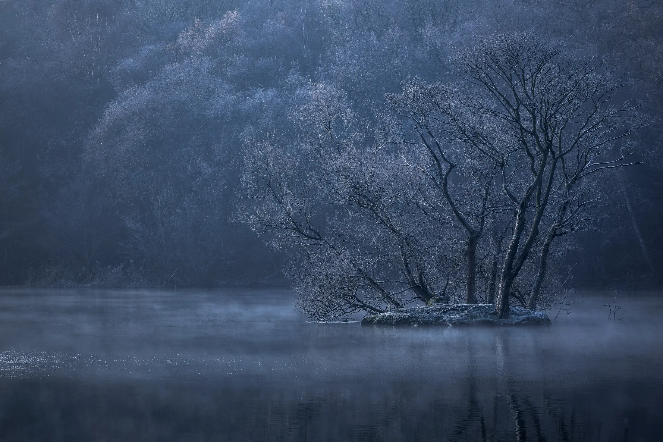 On Frozen Pond