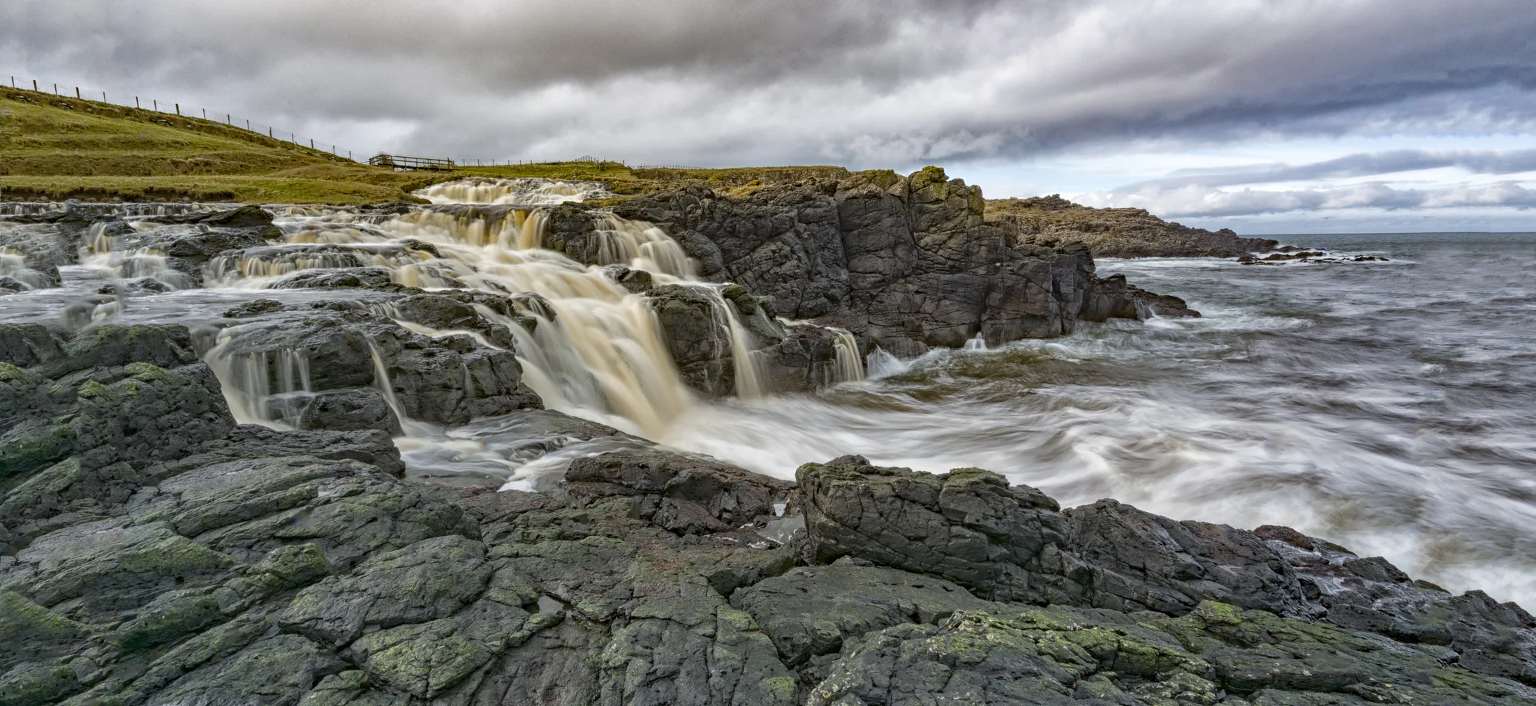 Entry 3169818