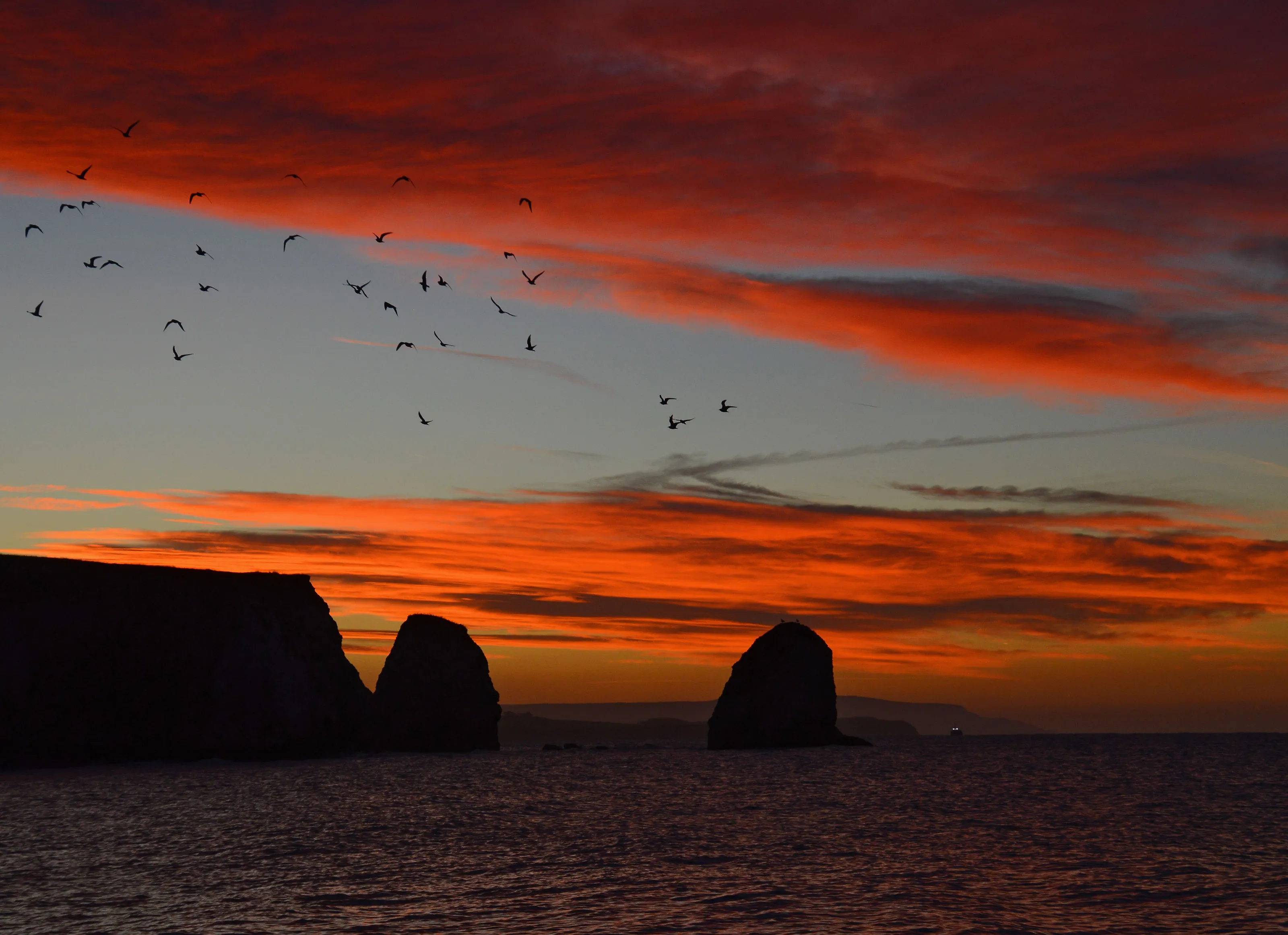 Red Dawn