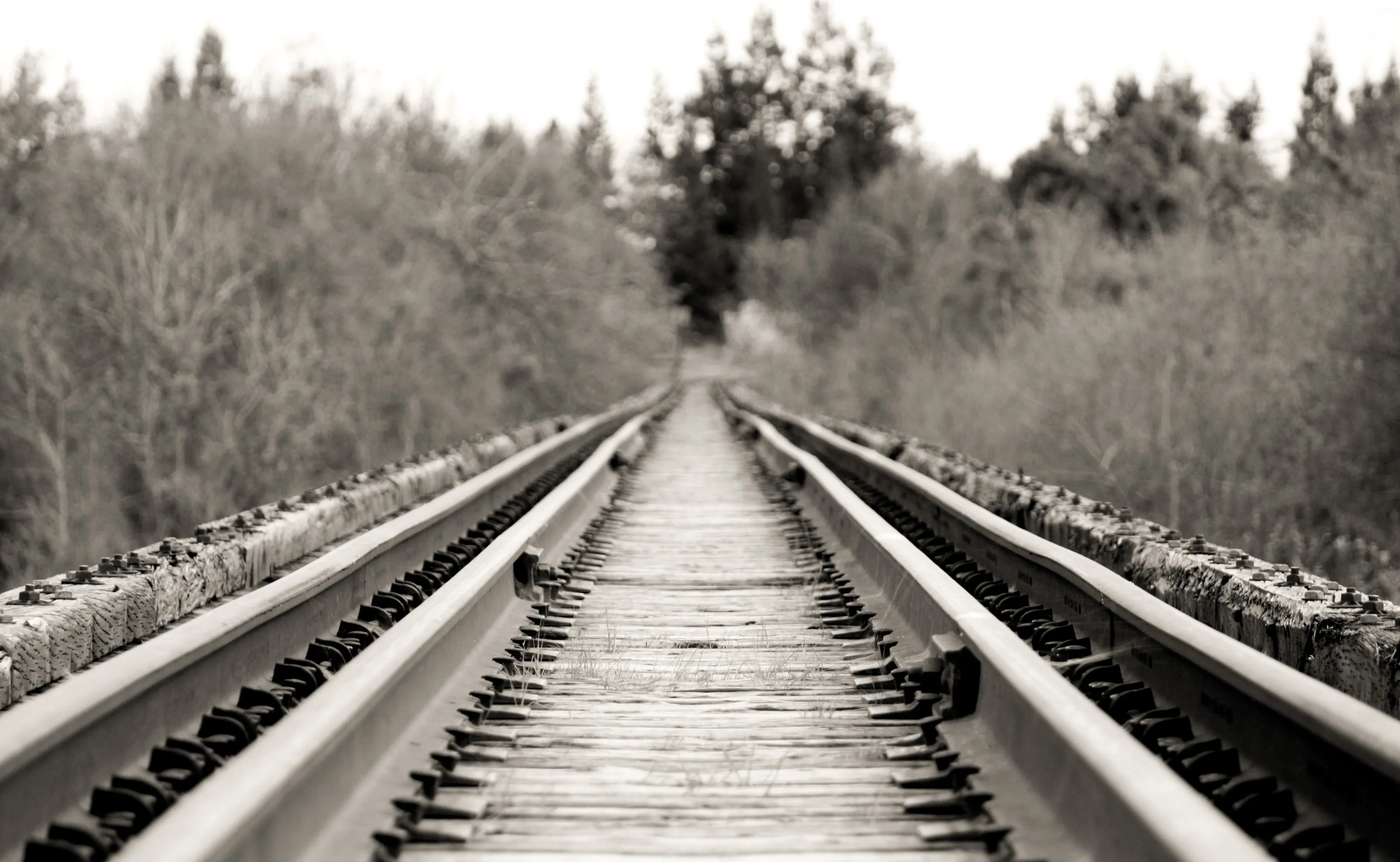 Abandoned Railroad Tracks