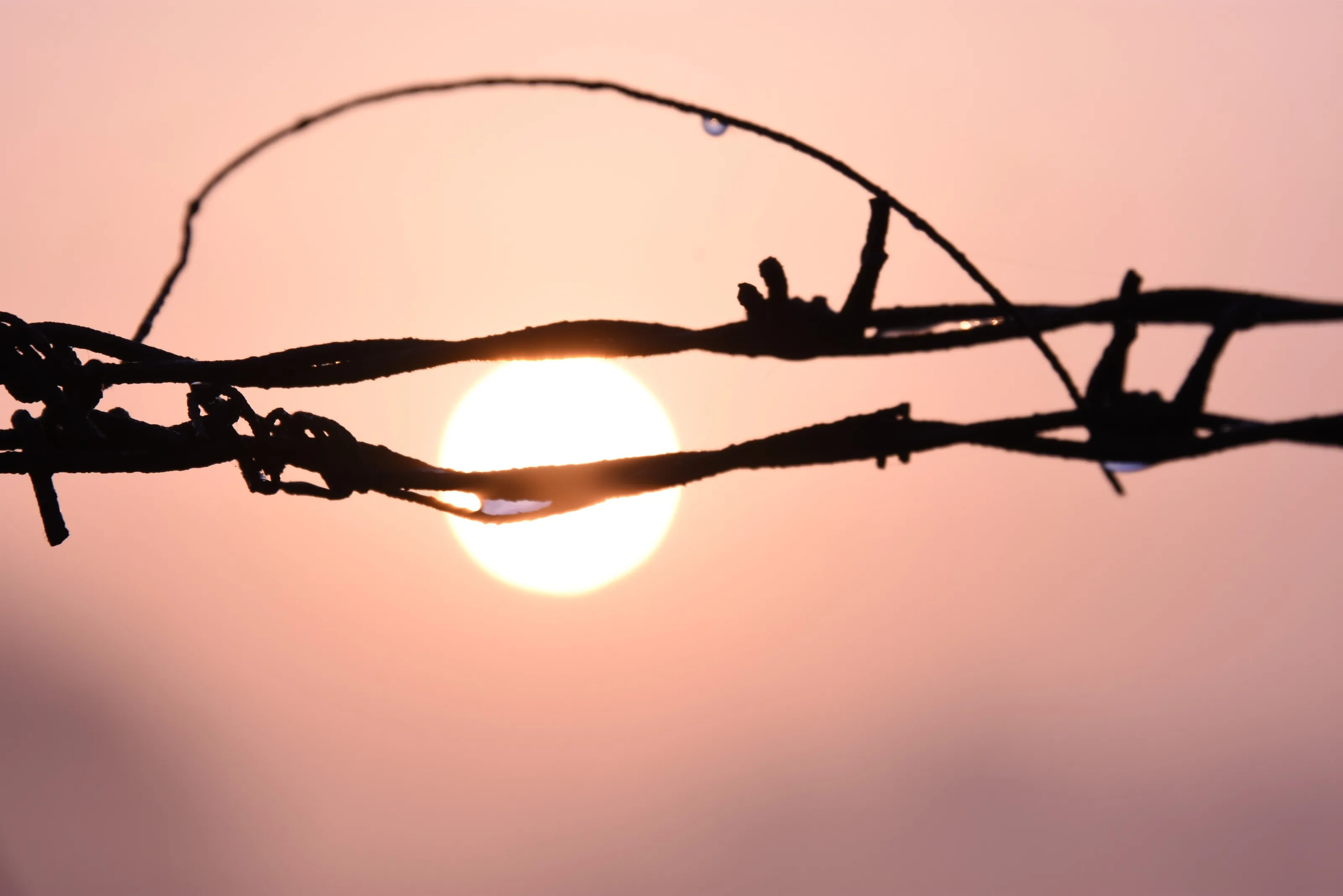 sun rise