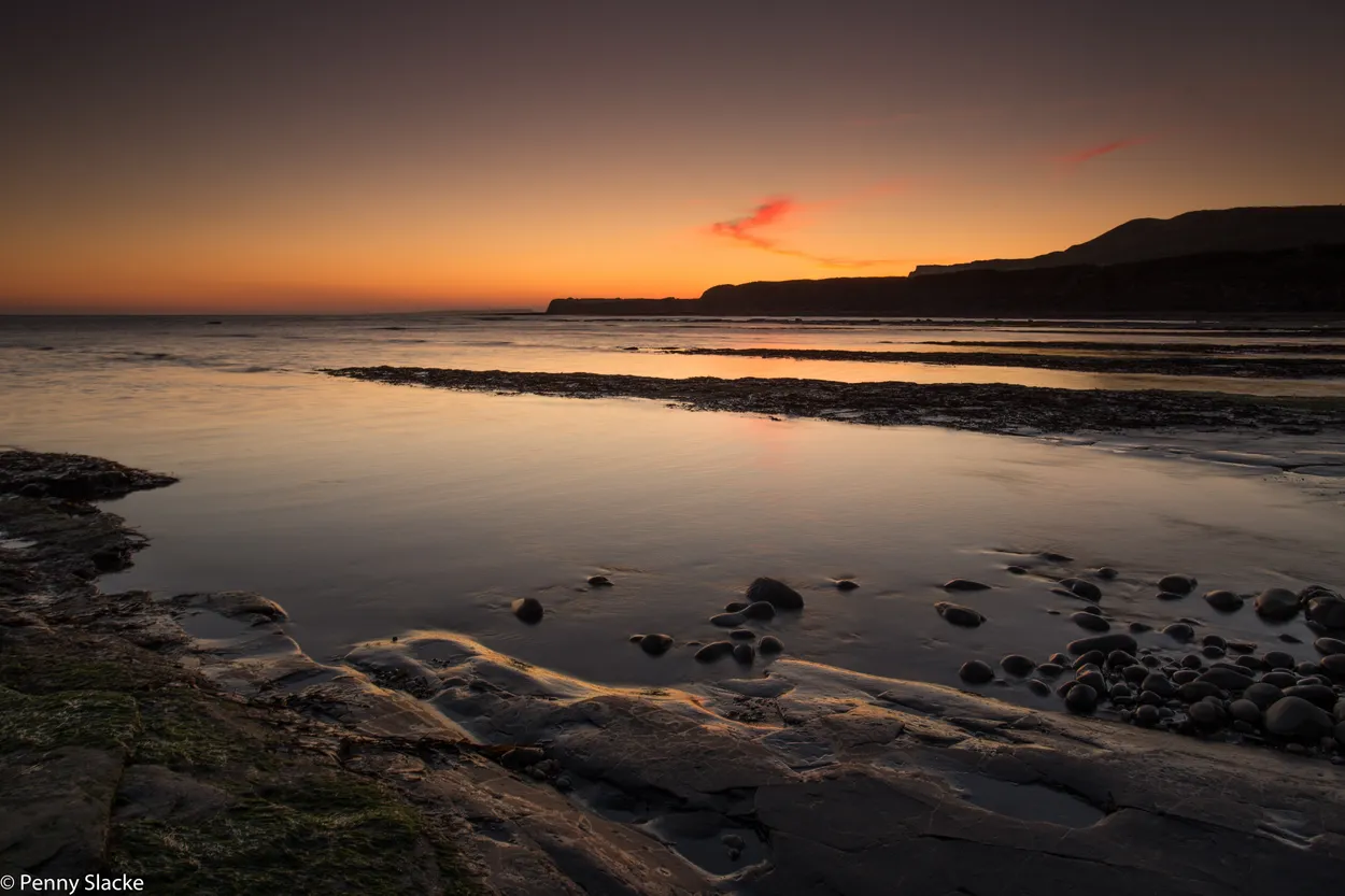 Entry 183123