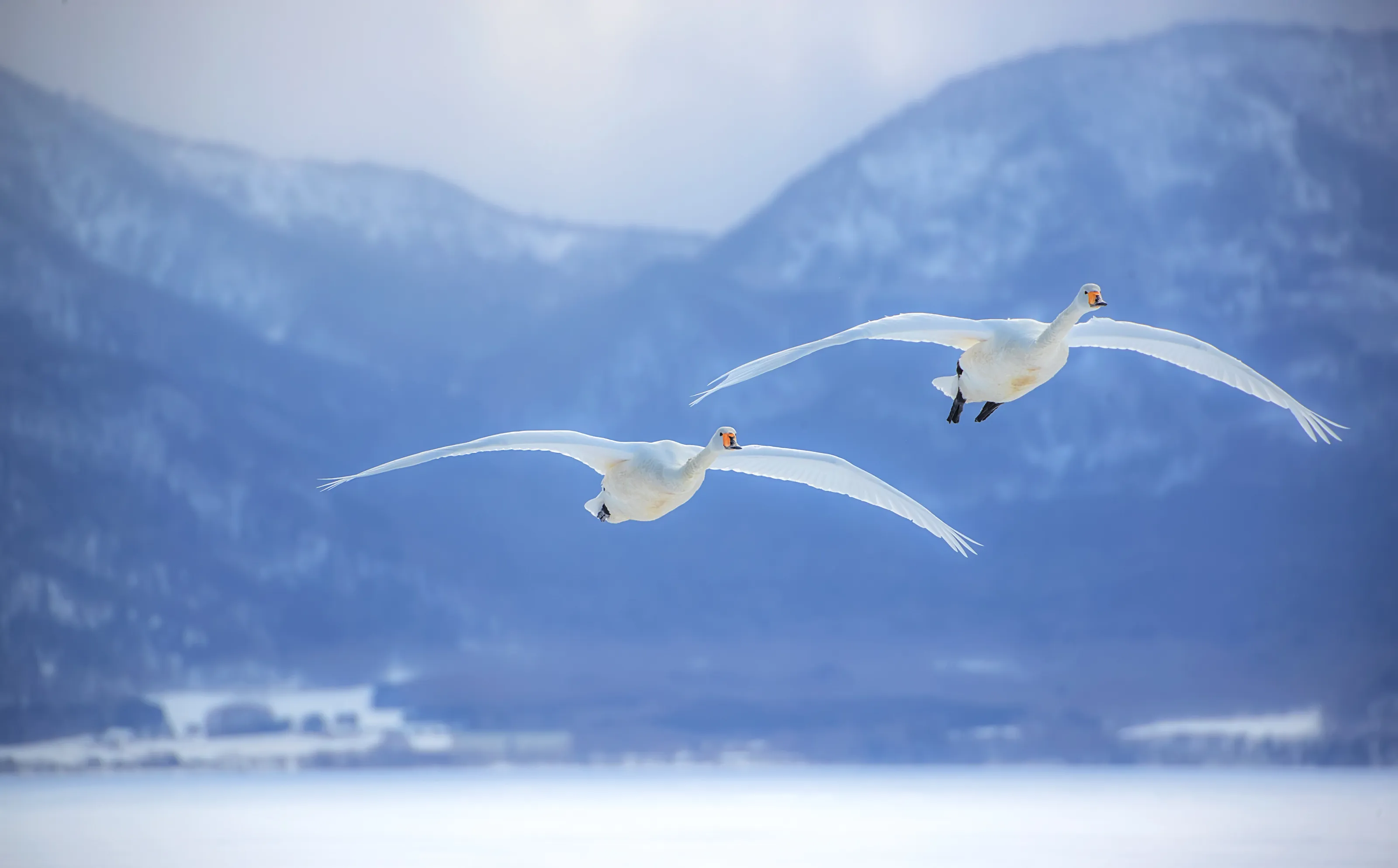 Winter in Hokkaido