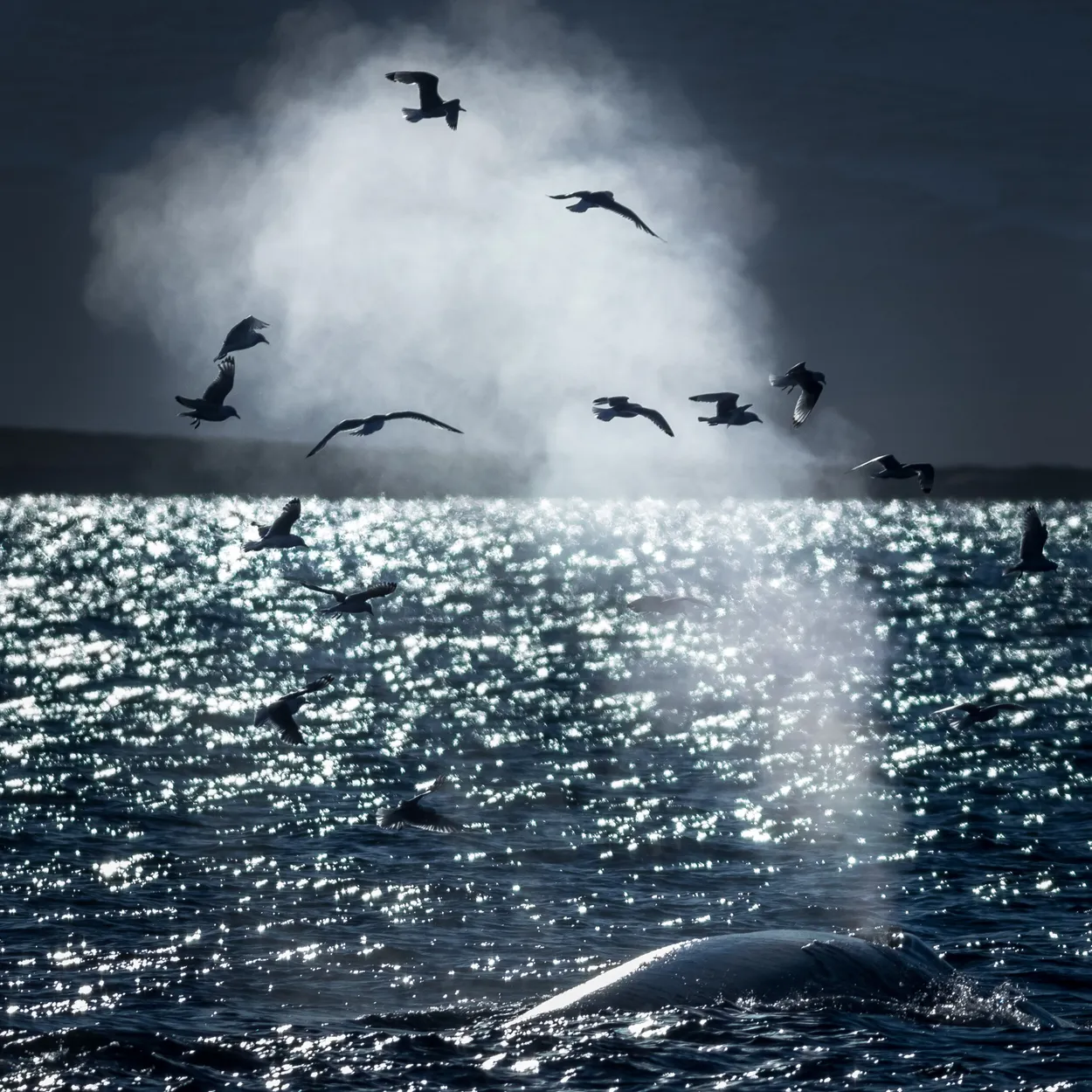 Entry 3205894