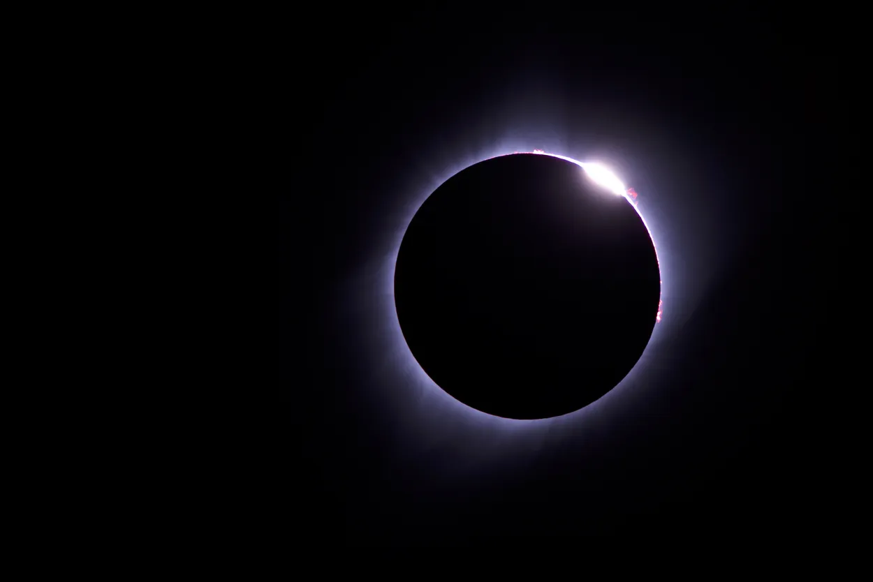 Entry 11008602
