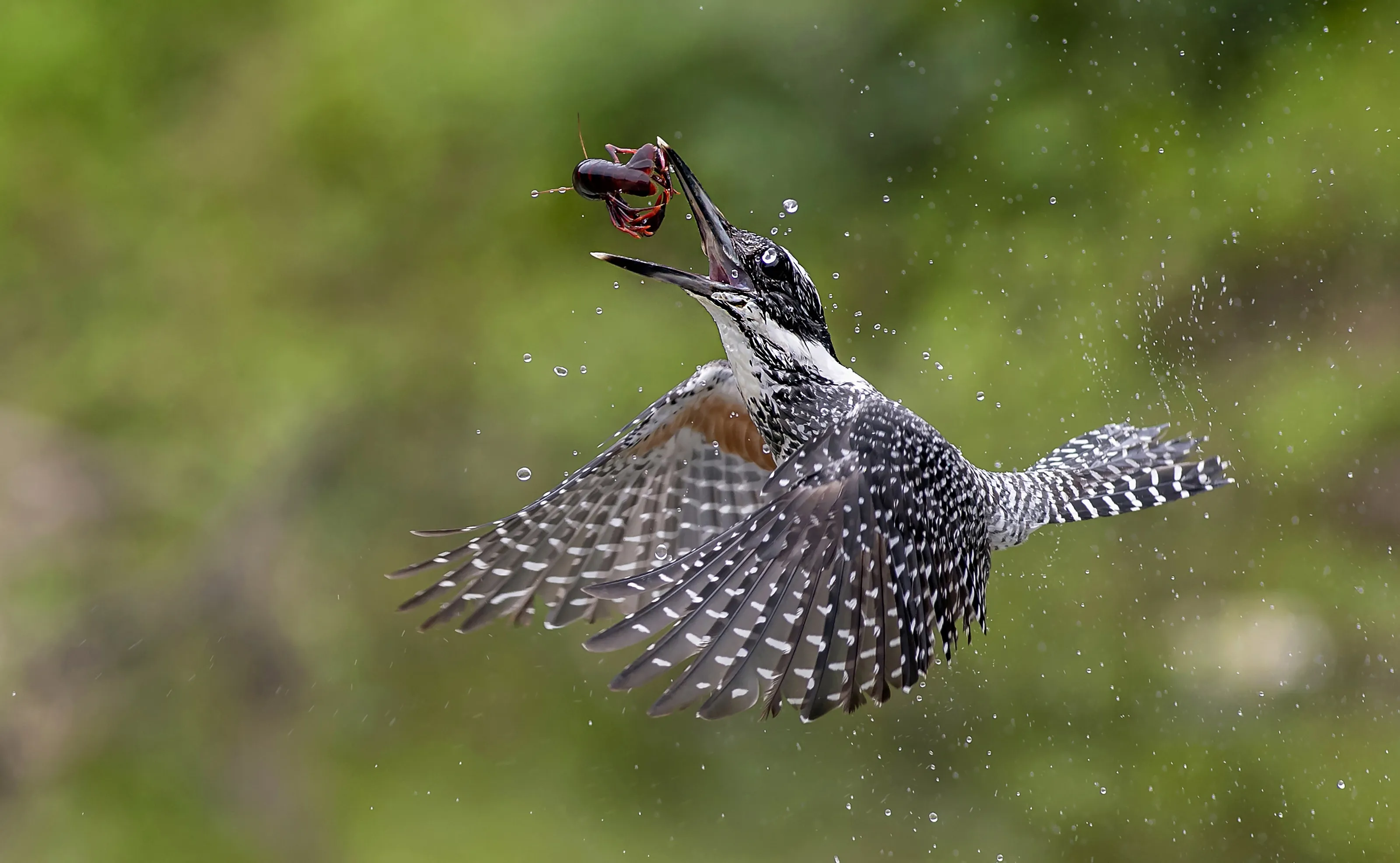 Aerial stunts