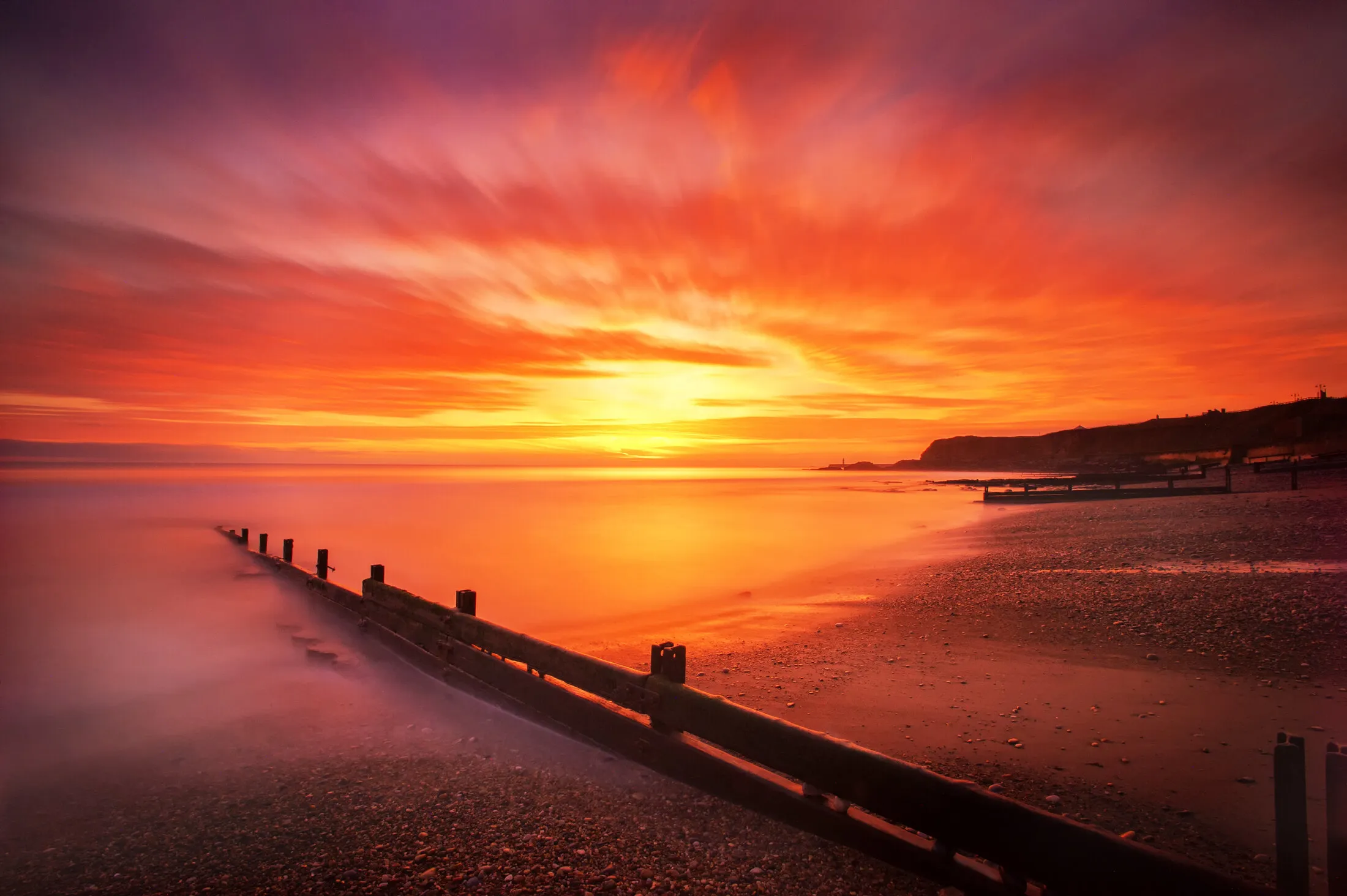 "Morning Glory"