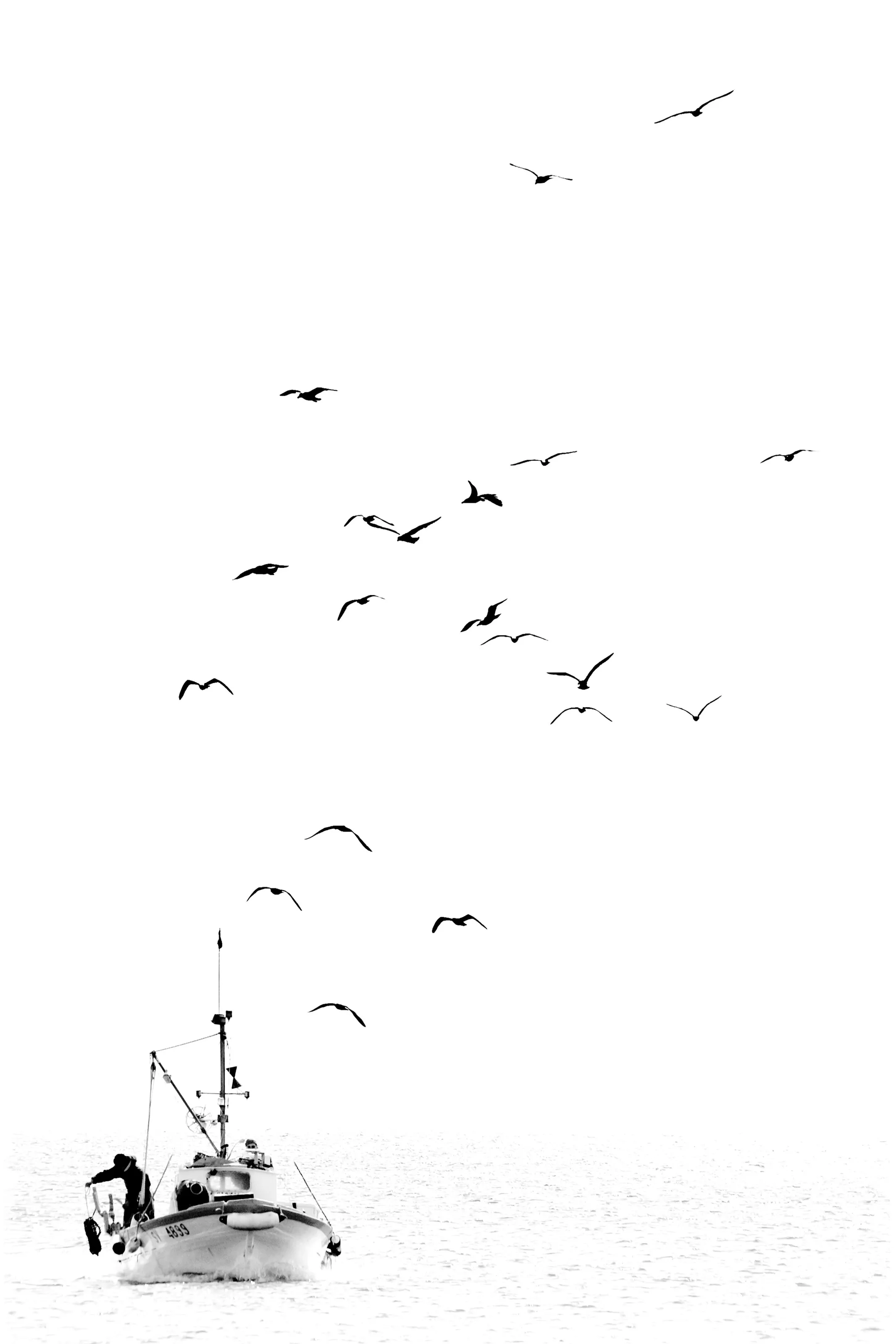 The fishing boat