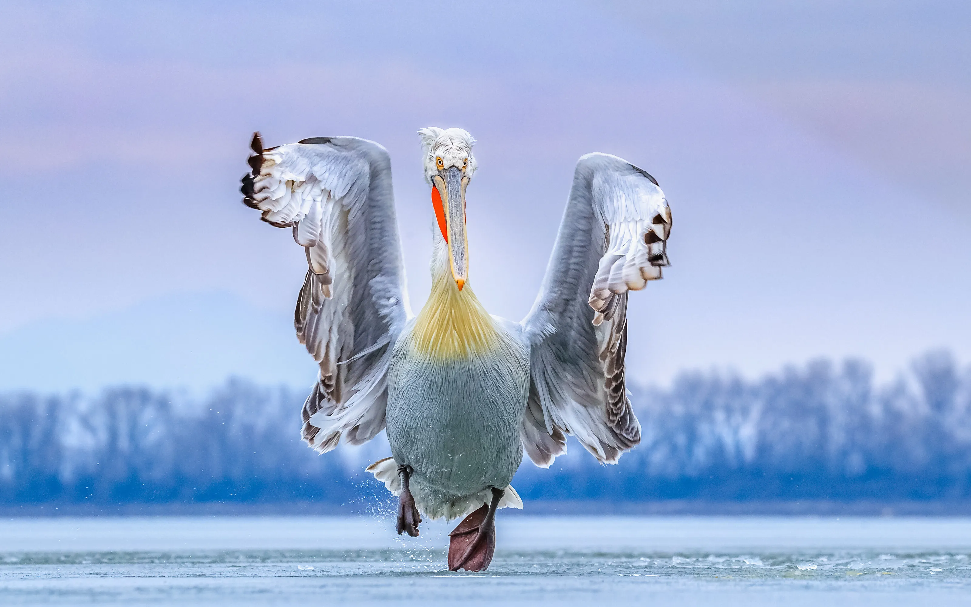 DANCING ON ICE