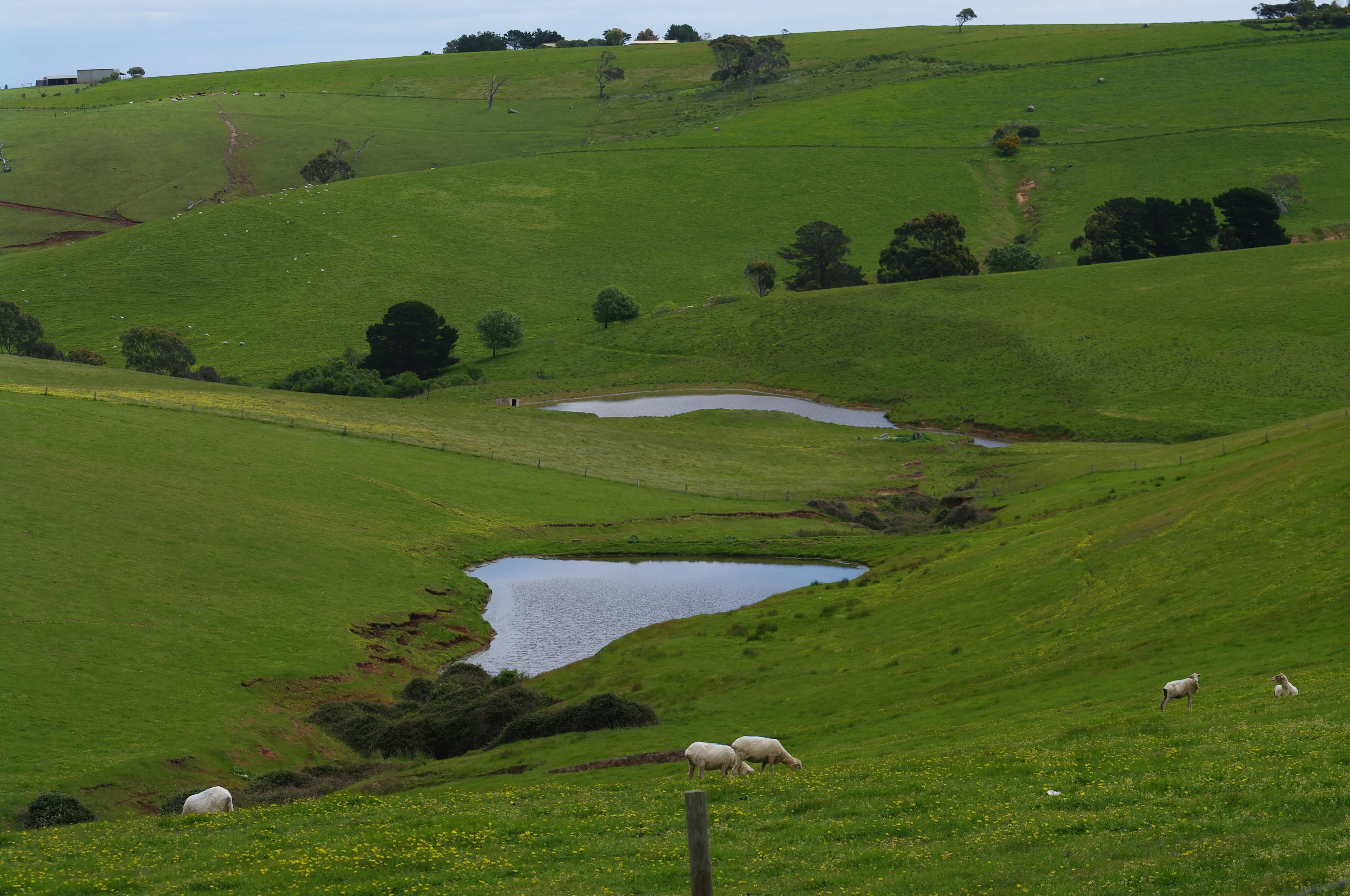 near Myponga South Australia