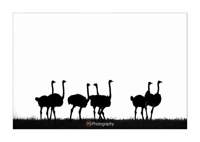 The Periscopes of Mara