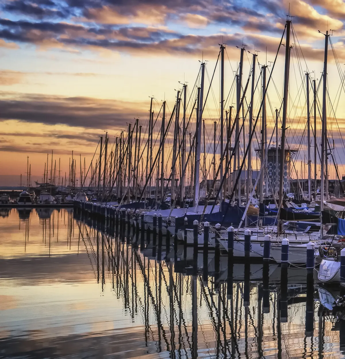 Entry 3219736