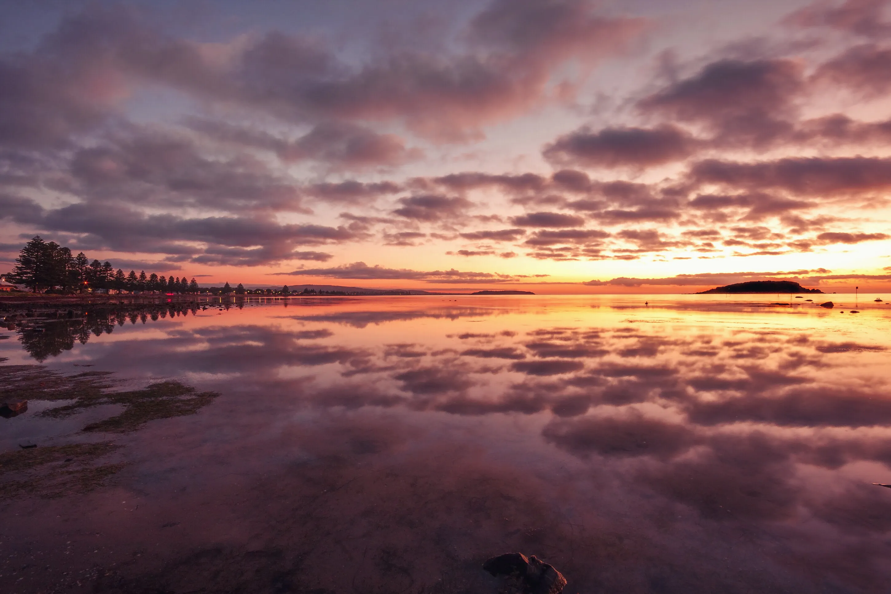 Reflections