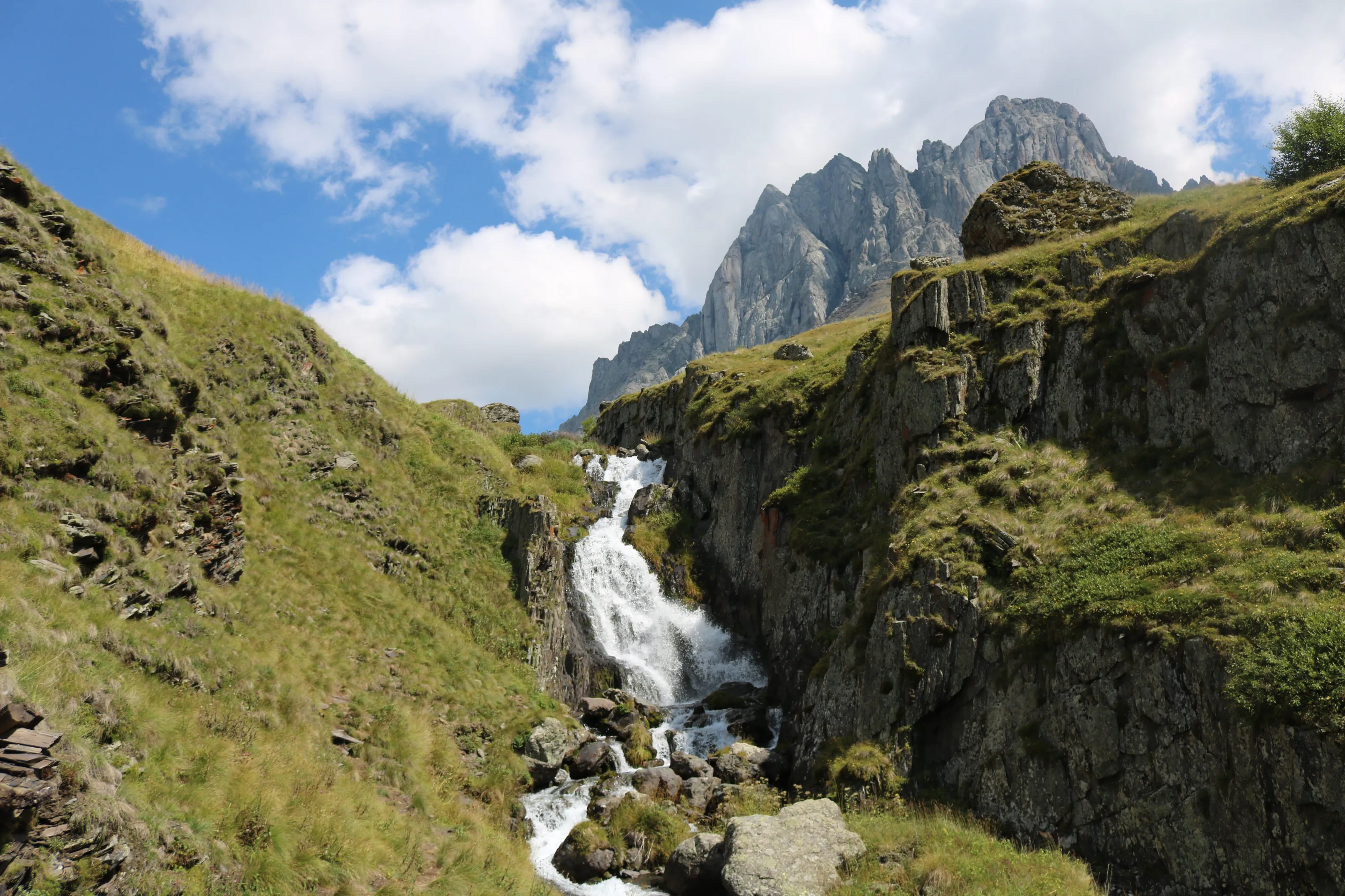 Juta. Georgia