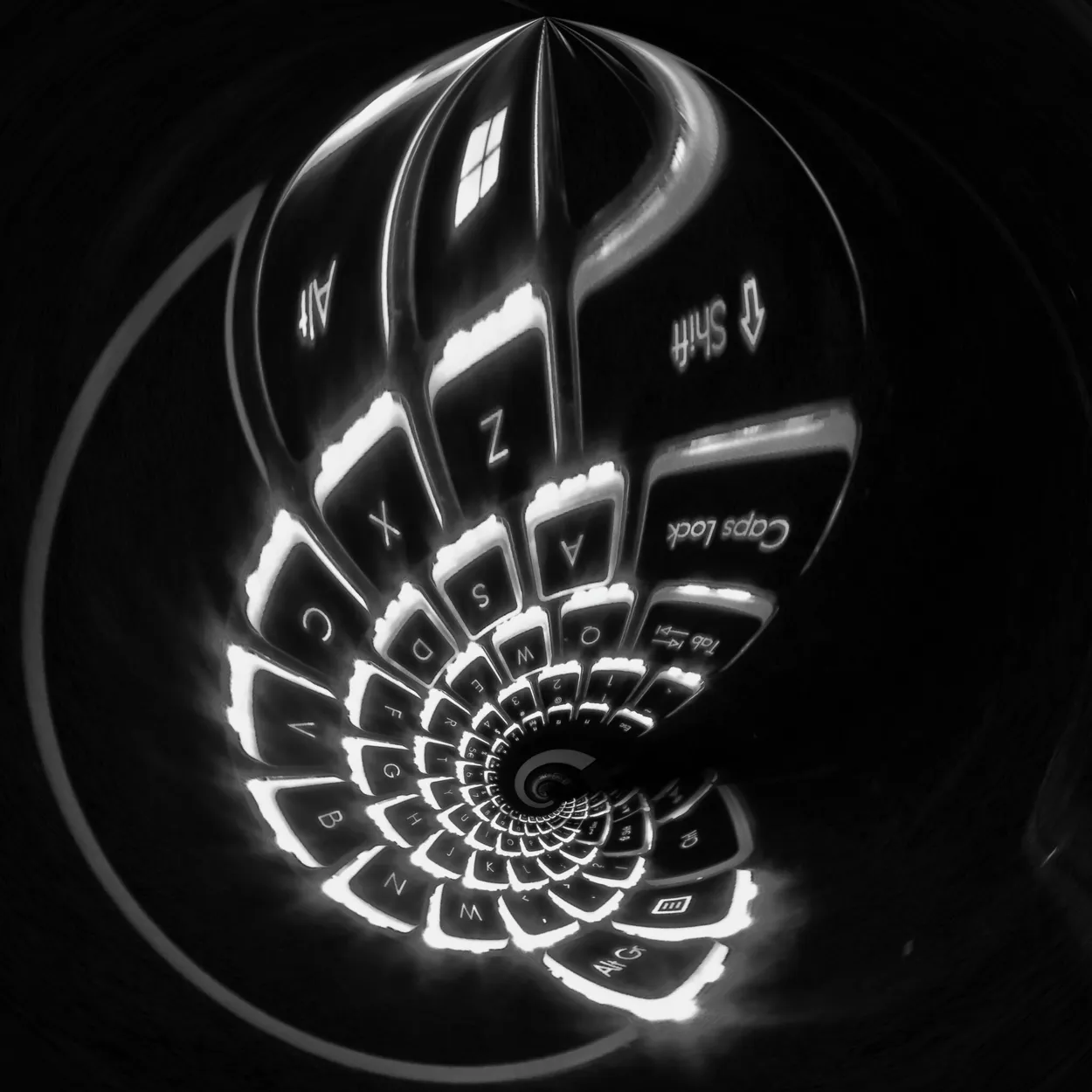 Entry 3231278