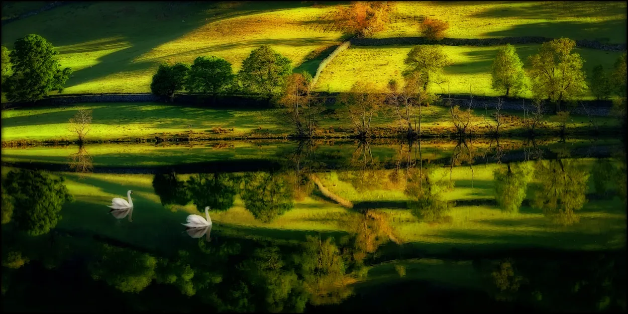 Entry 20408